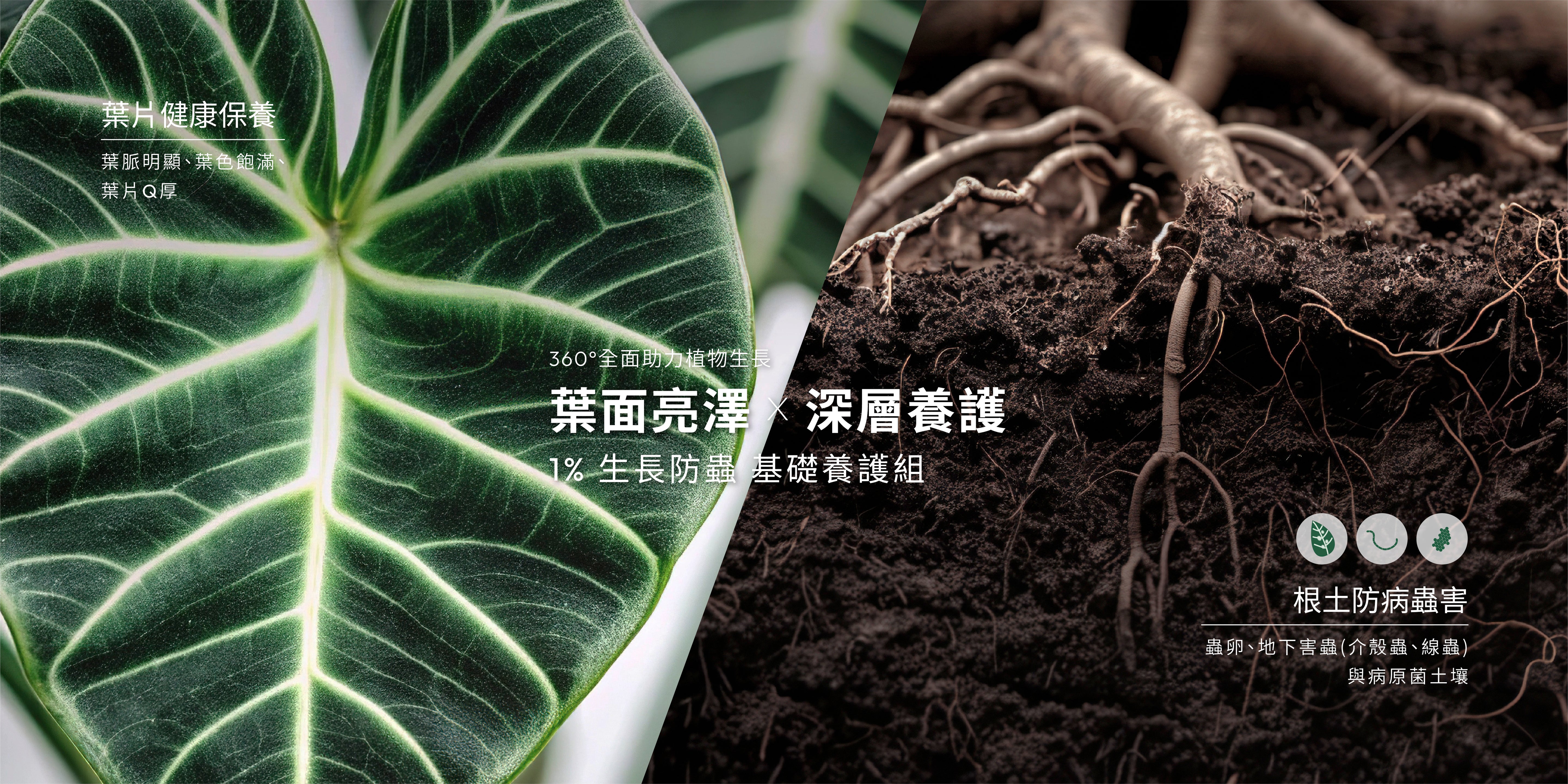 1%植物關鍵植物營養精華與 Protect+ 驅蟲噴霧養護組,幫助植物生長並提供莖葉驅蟲防護