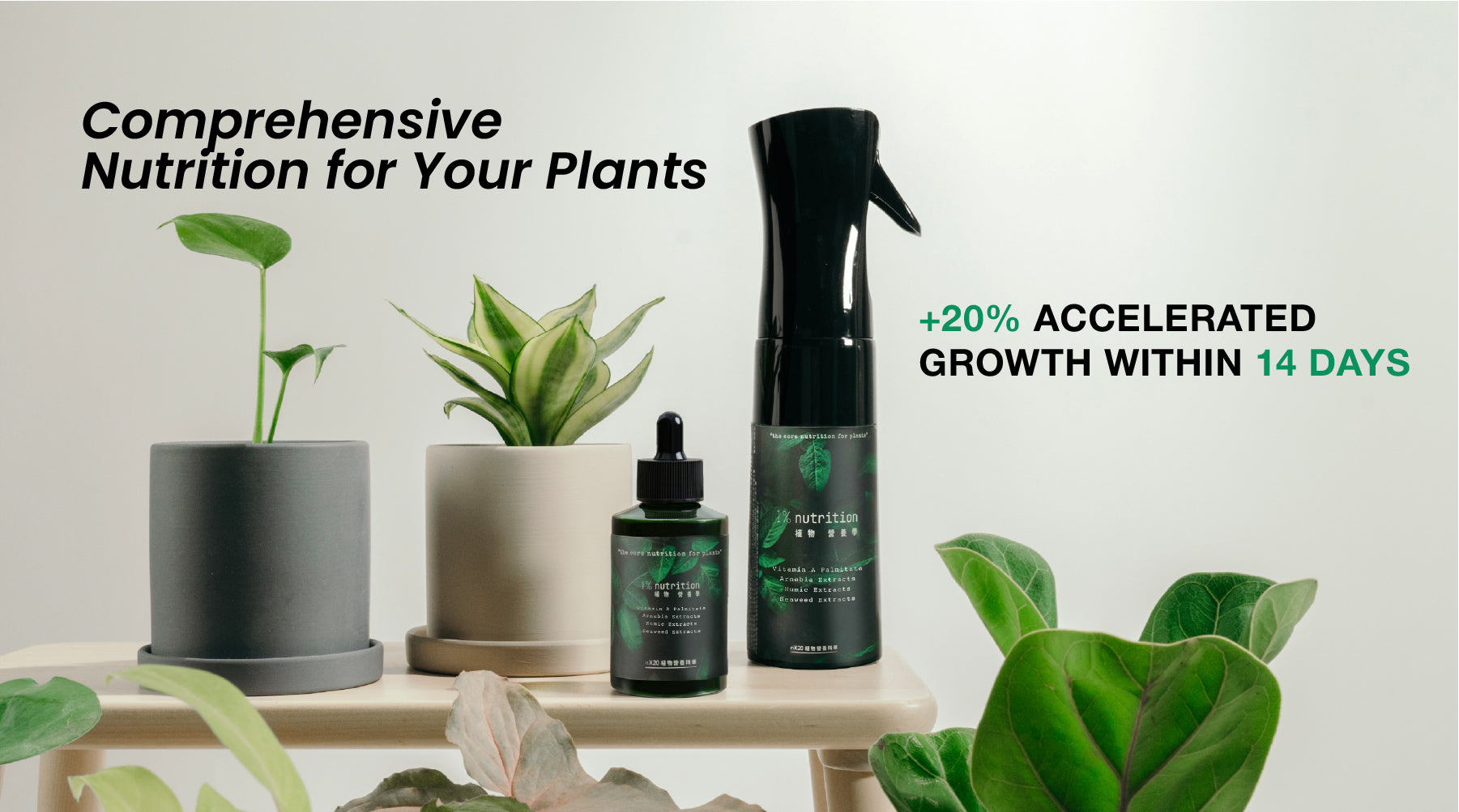 Accelerated Growth within 14 days