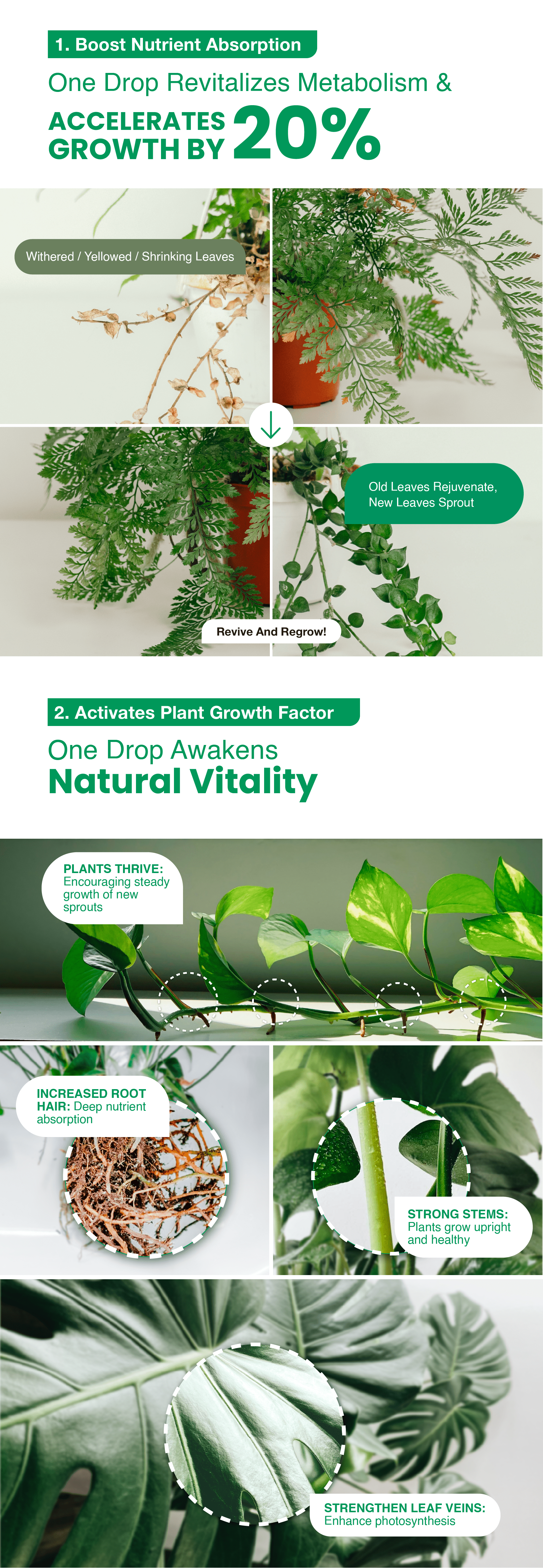 Accelerates Growth by 20%