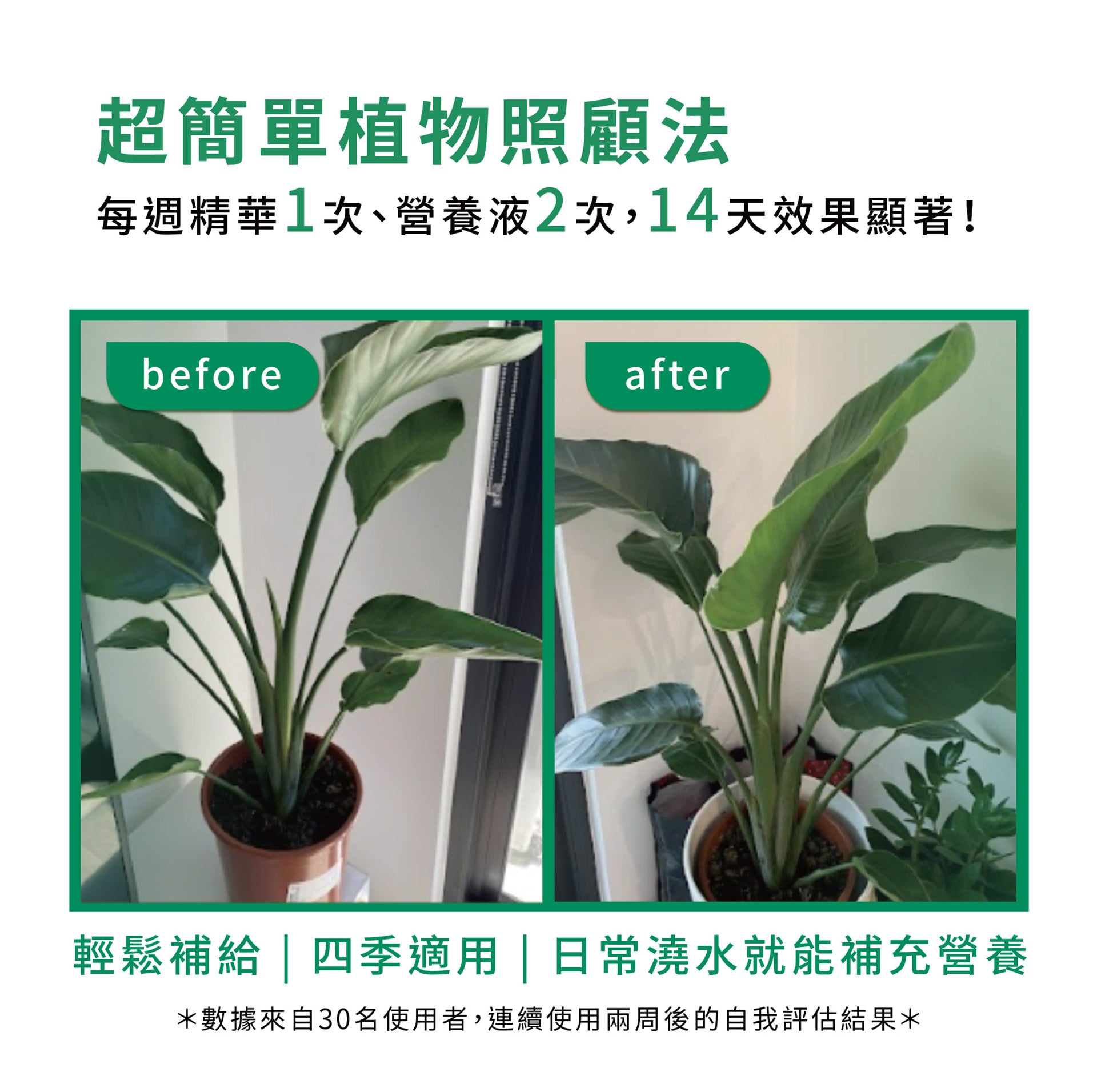 超簡單植物照顧法