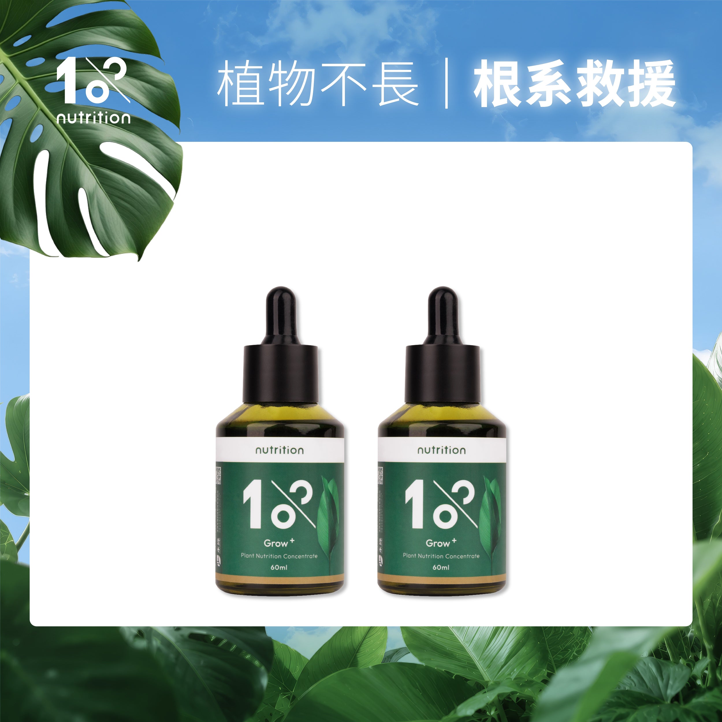 根系救援組|植物營養精華幫助根系生長,改善植物停滯、生長緩慢