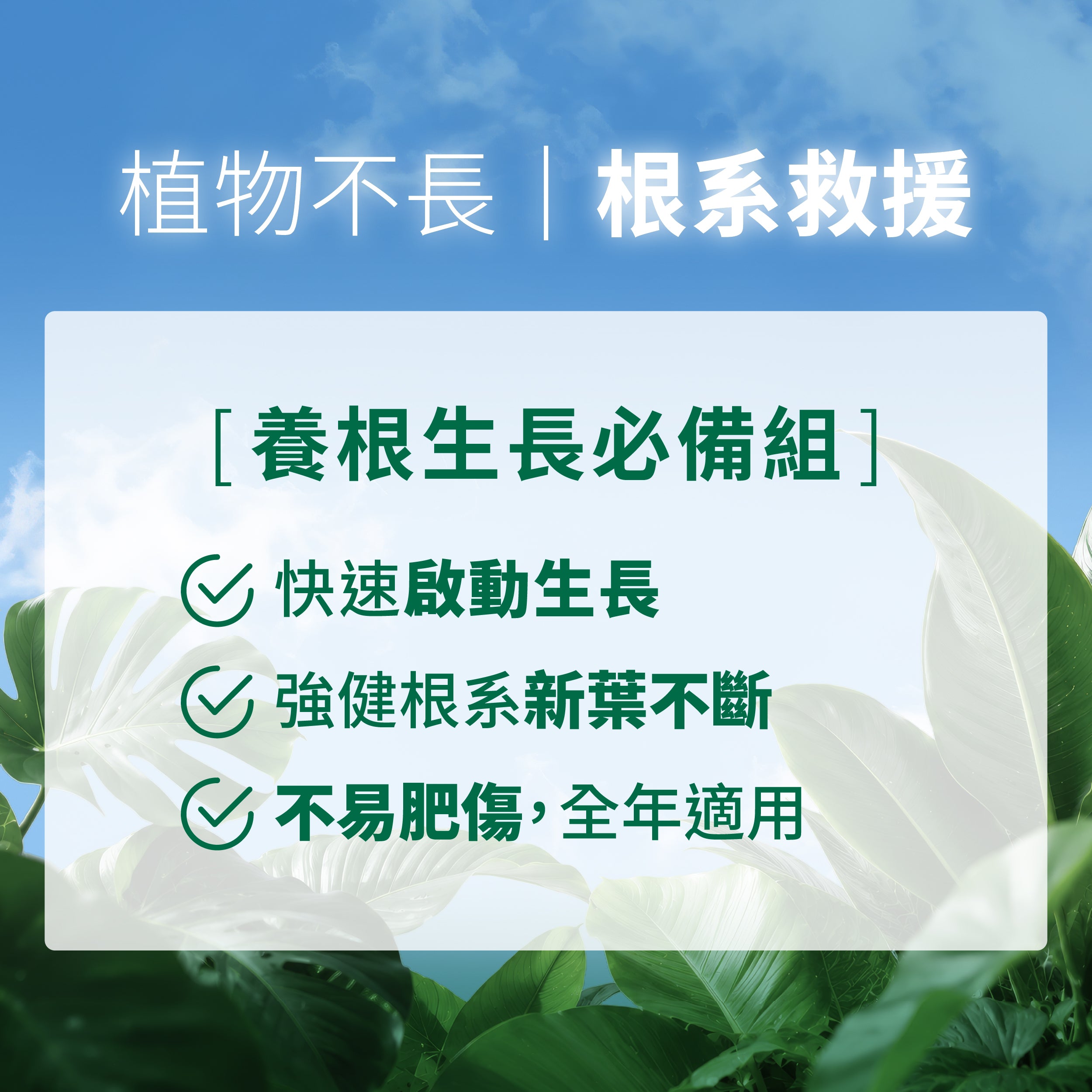 1%植物營養液養根生長必備組,促進根系生長、幫助新芽發育,全年皆可使用,不易肥傷。