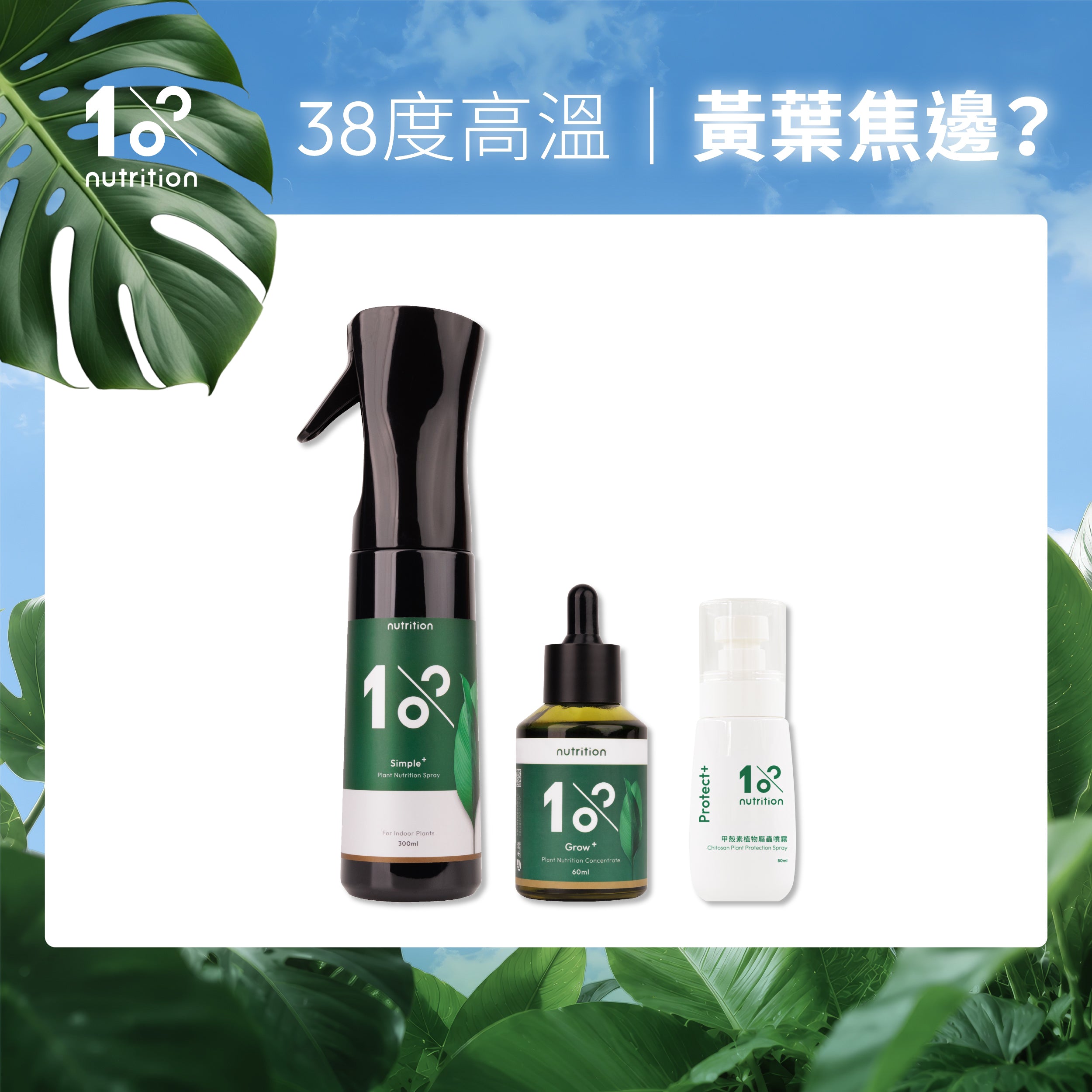 夏季植物養護組|植物營養精華、葉面保養噴霧與甲殼素噴霧,改善黃葉、焦邊與高溫生長問題
