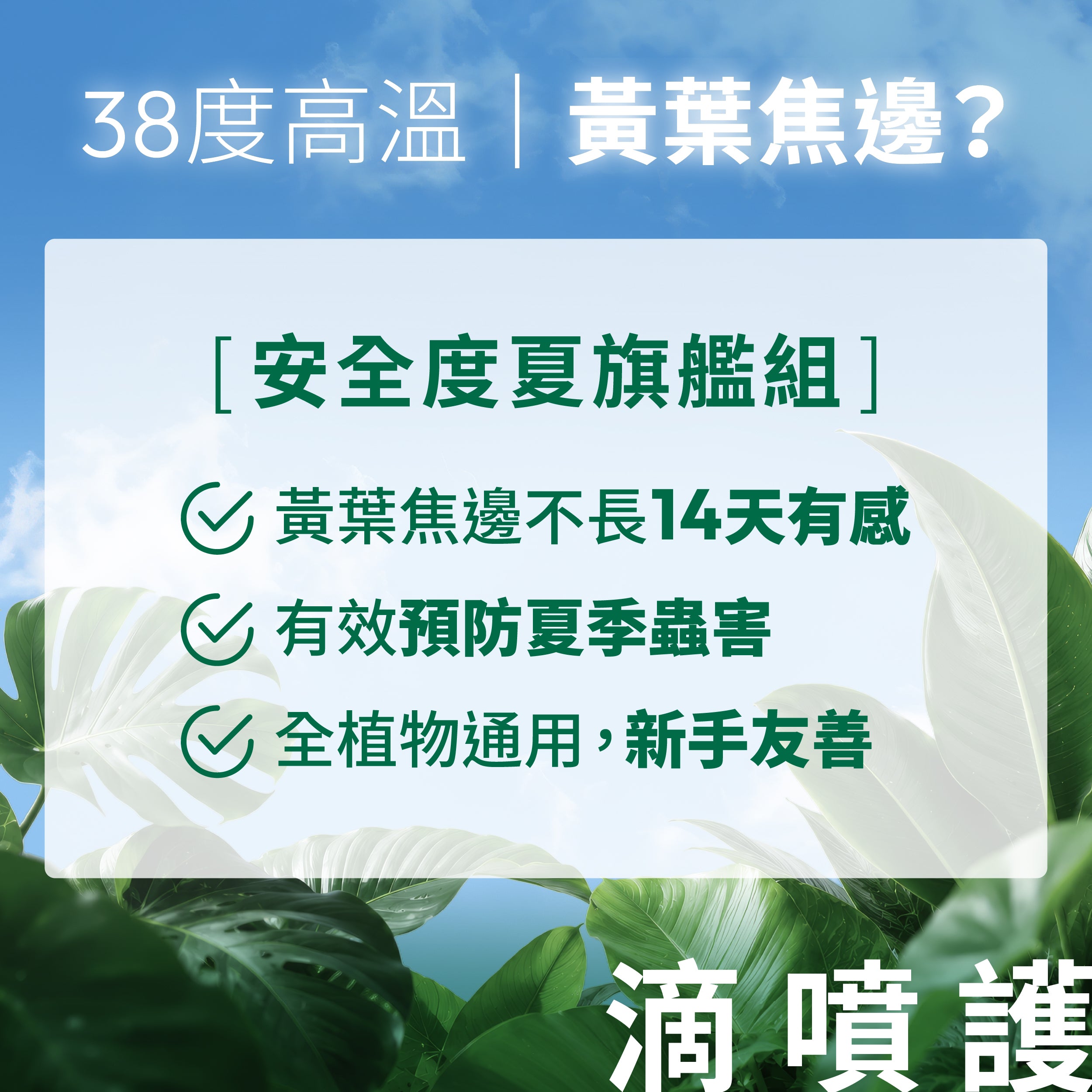 1%植物關鍵夏季度夏旗艦組,植物營養液、植物保養噴霧與植物防蟲噴霧,改善黃葉焦邊並預防夏季蟲害。