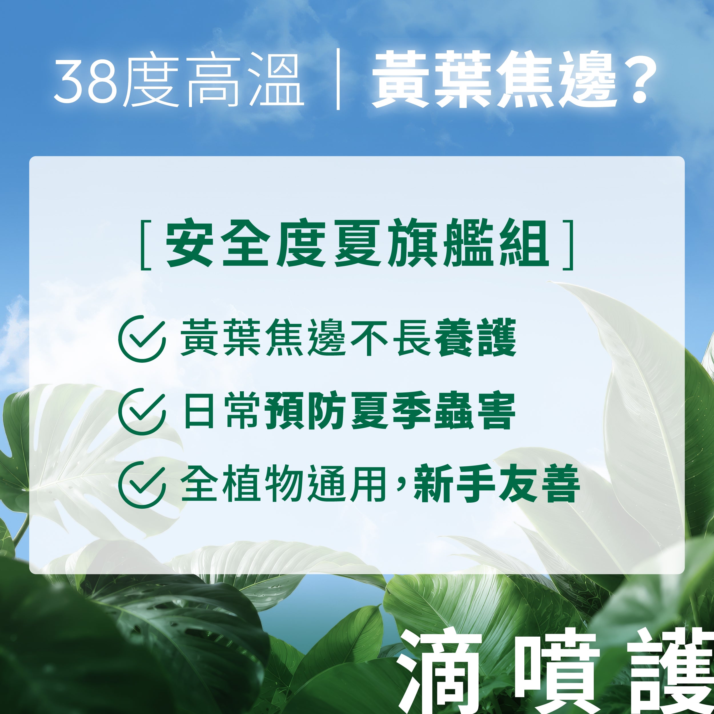 1%植物關鍵夏季度夏旗艦組,植物營養液、植物保養噴霧與植物防蟲噴霧,改善黃葉焦邊並預防夏季蟲害。