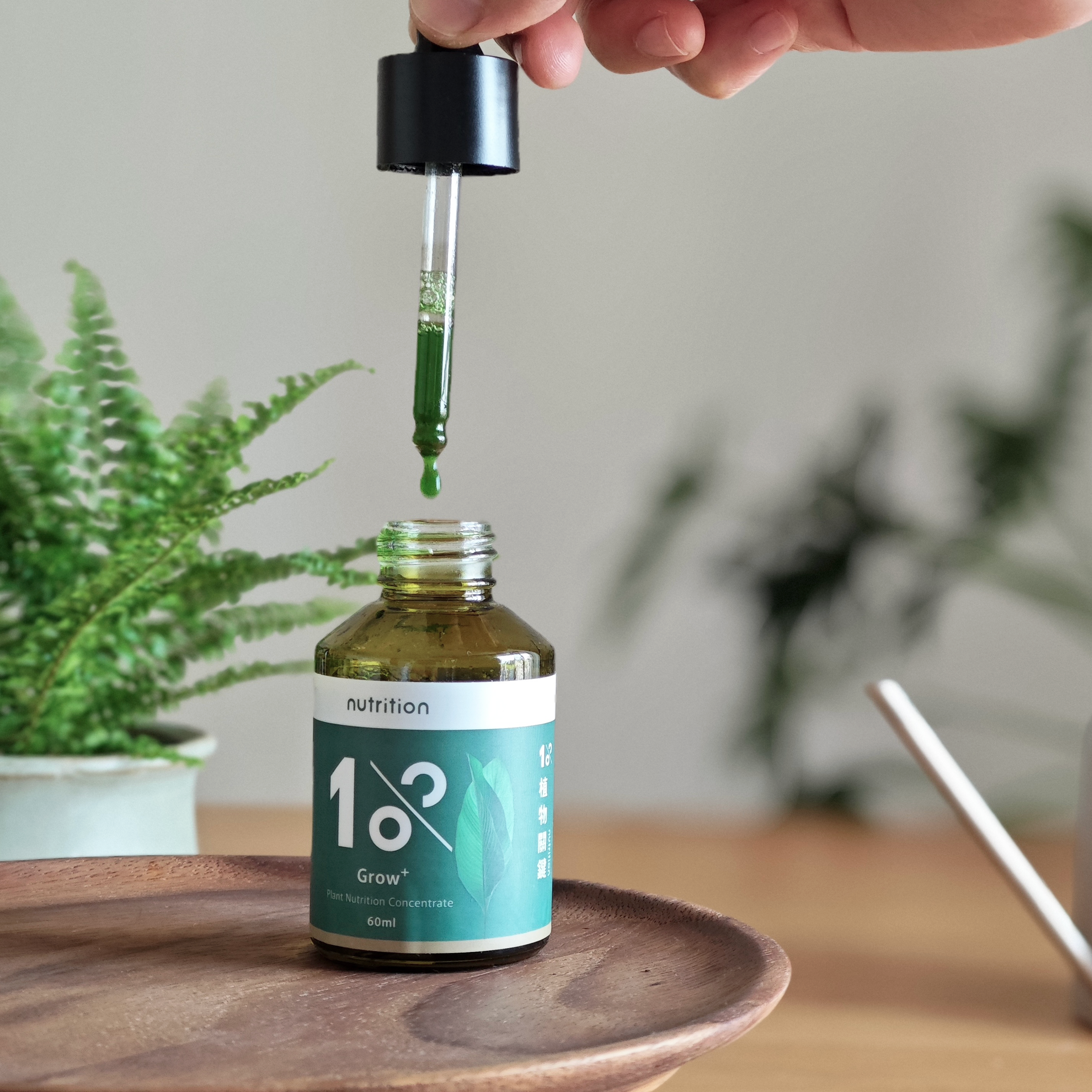 雙11|新手懶人必備-入門升級組