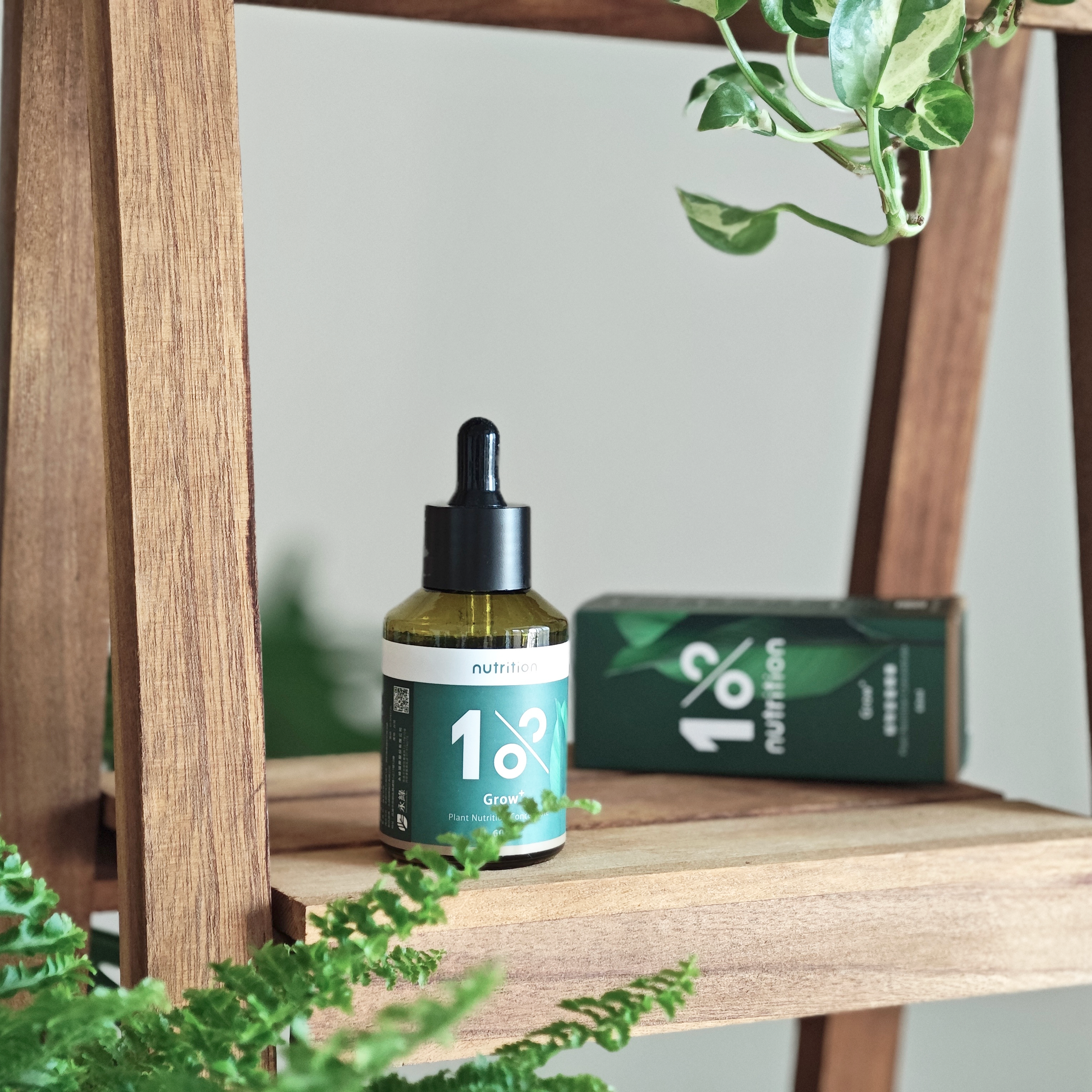 1% 營養防蟲專業養護組