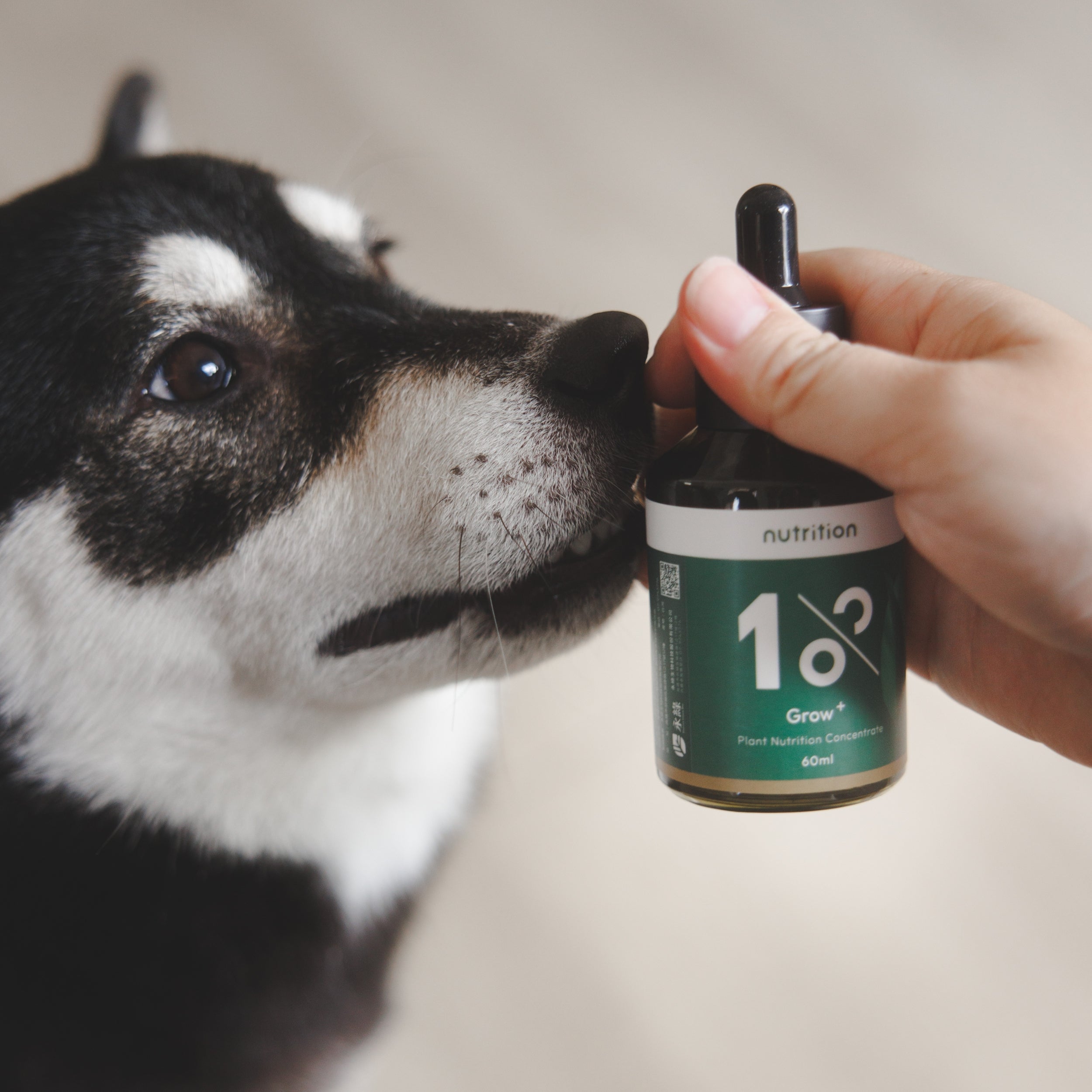 雙11|新手懶人必備-入門升級組