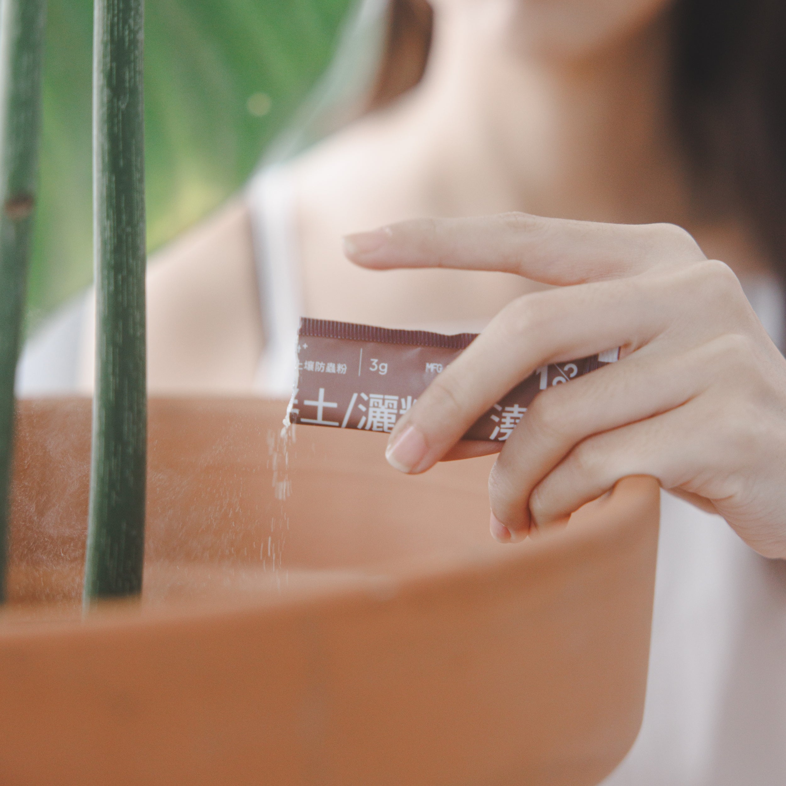 雙11 20盆以內|3坪養護專家組