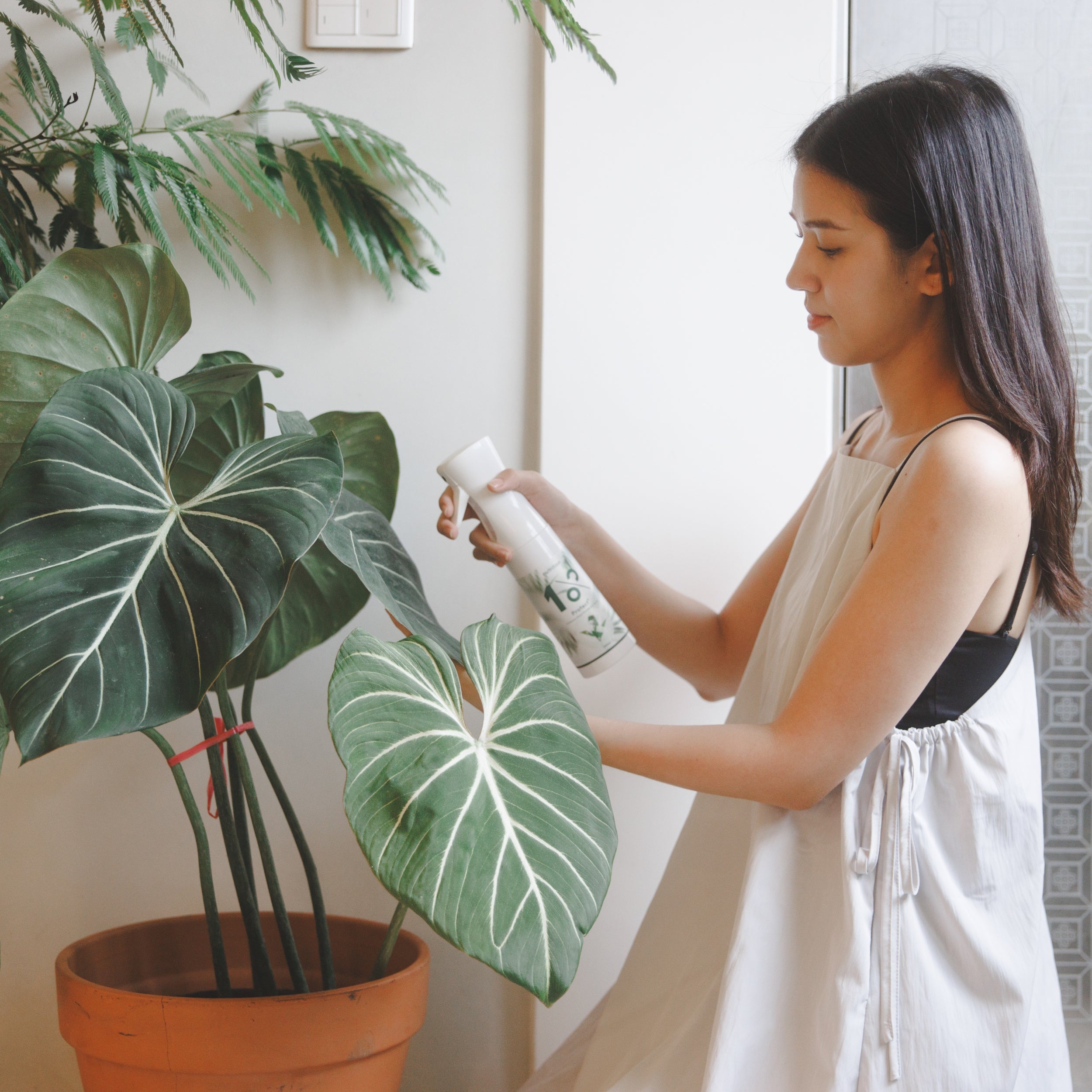 1111限搶100組|1%成長驅蟲一次擁有