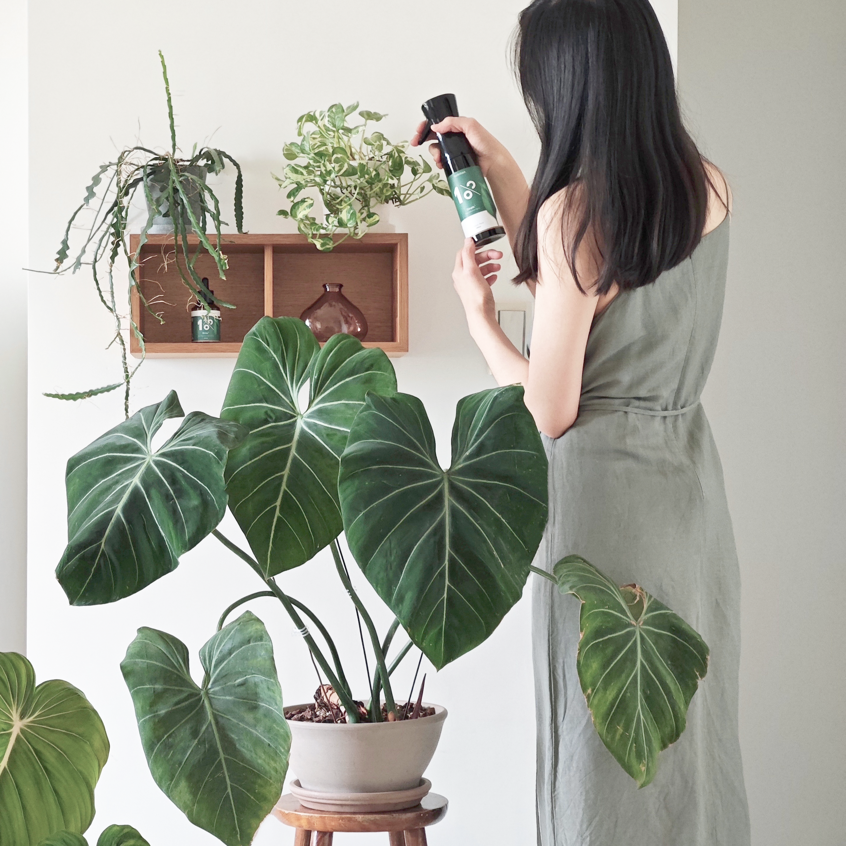 1% 保養驅蟲懶人養護組