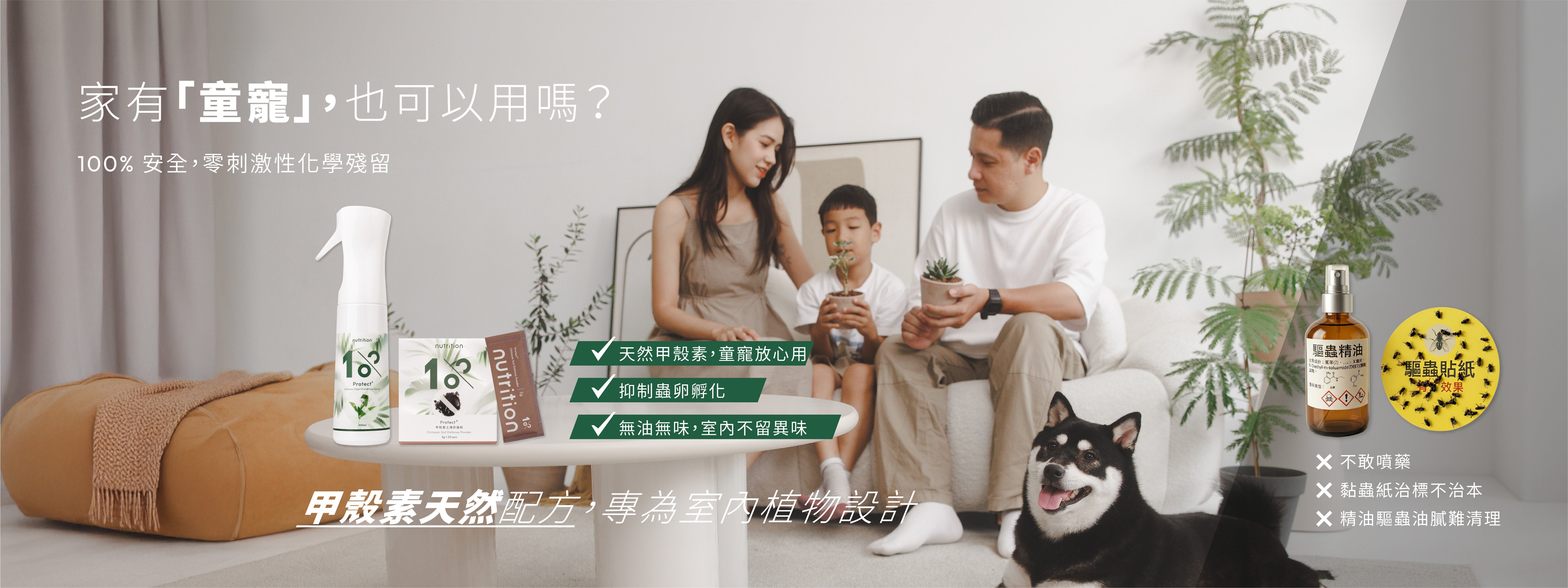 室內植物小黑飛防治推薦,天然甲殼素配方適合有兒童與寵物家庭使用
