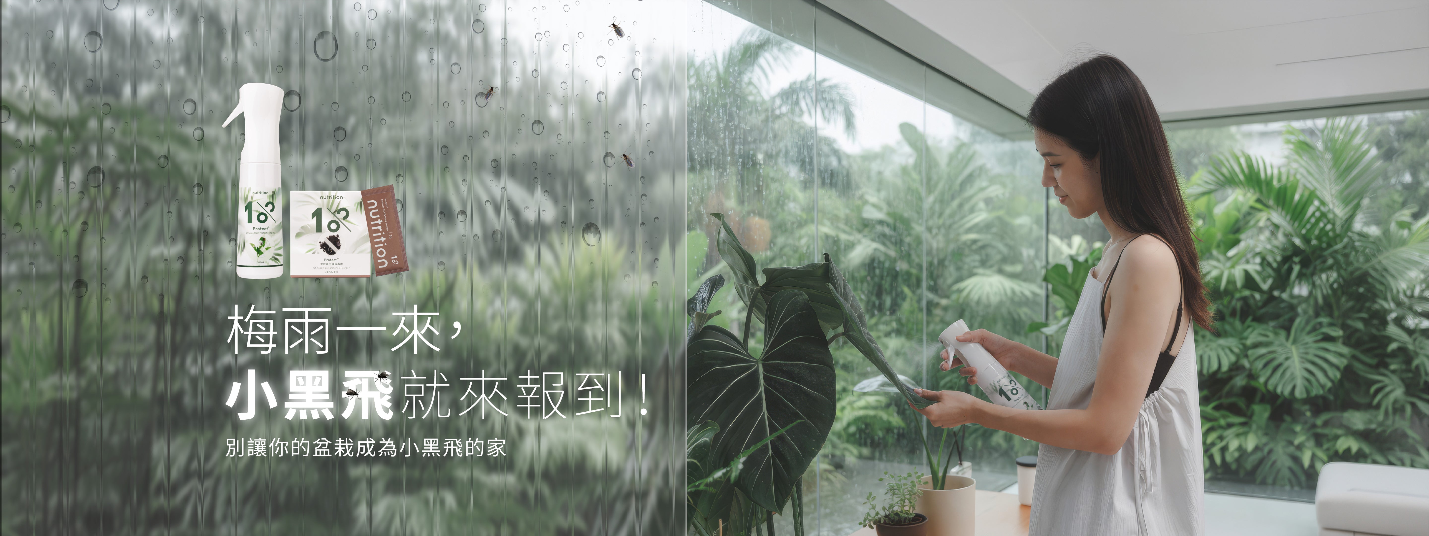 1%植物關鍵 Protect+ 小黑飛防治方案,梅雨季室內植物防蟲推薦,透過甲殼素土壤防蟲粉與植物防護噴霧改善潮濕土壤環境,預防小黑飛孳生