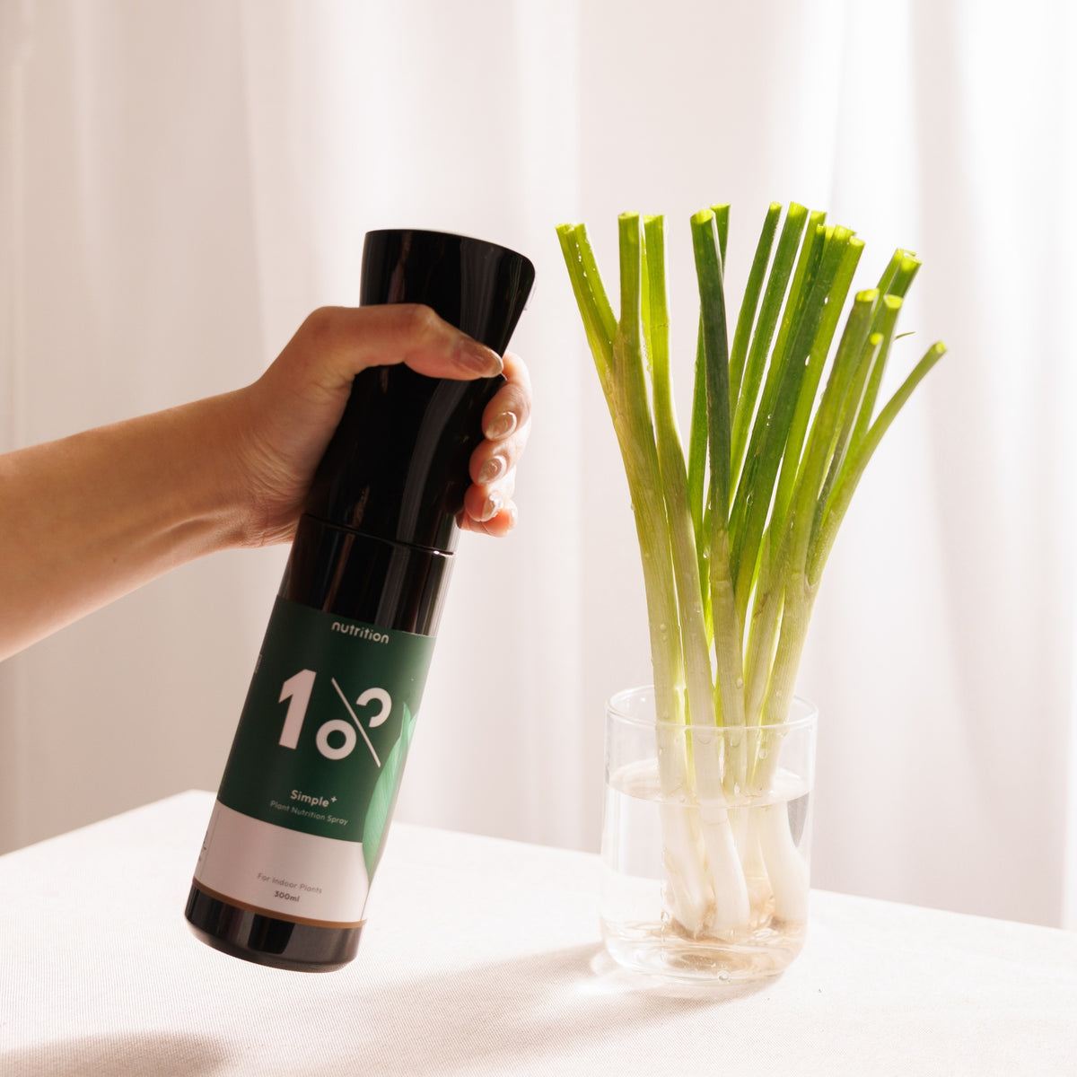 1%植物關鍵 Simple+ 植物營養噴霧搭配水培青蔥,為水培蔬菜補充日常所需養分,居家種植更簡單