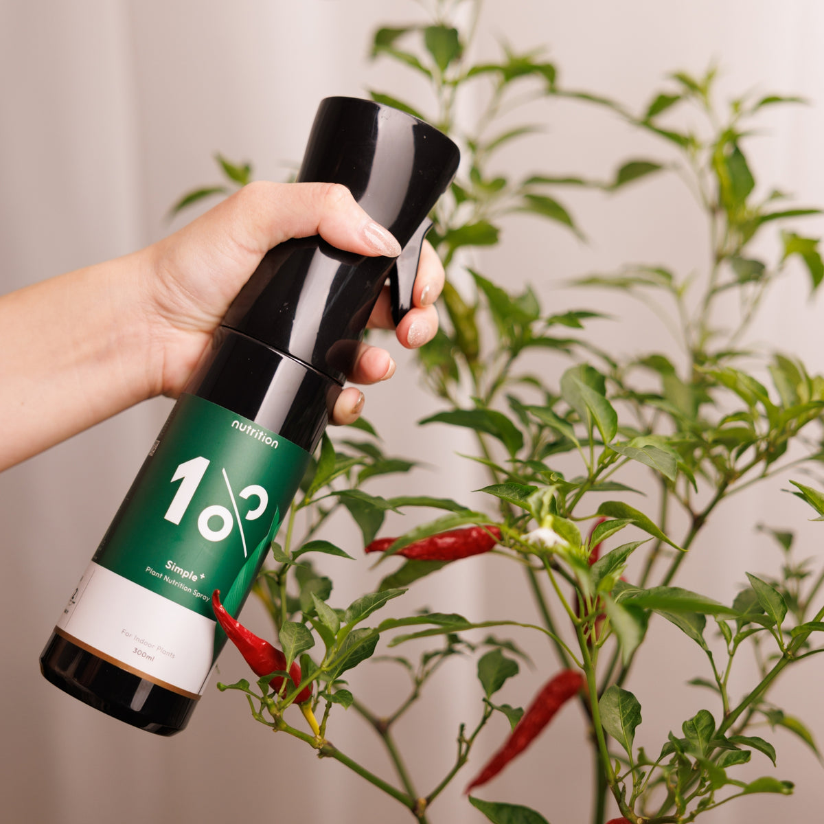 1%植物關鍵 Simple+ 植物營養噴霧使用於植株,輕鬆補充葉片所需養分,適合居家種植日常保養