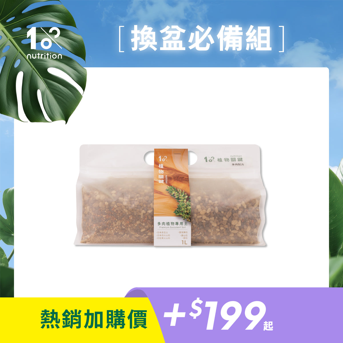 多肉植物專用土加購|排水透氣配方,適合仙人掌、多肉植物換盆使用