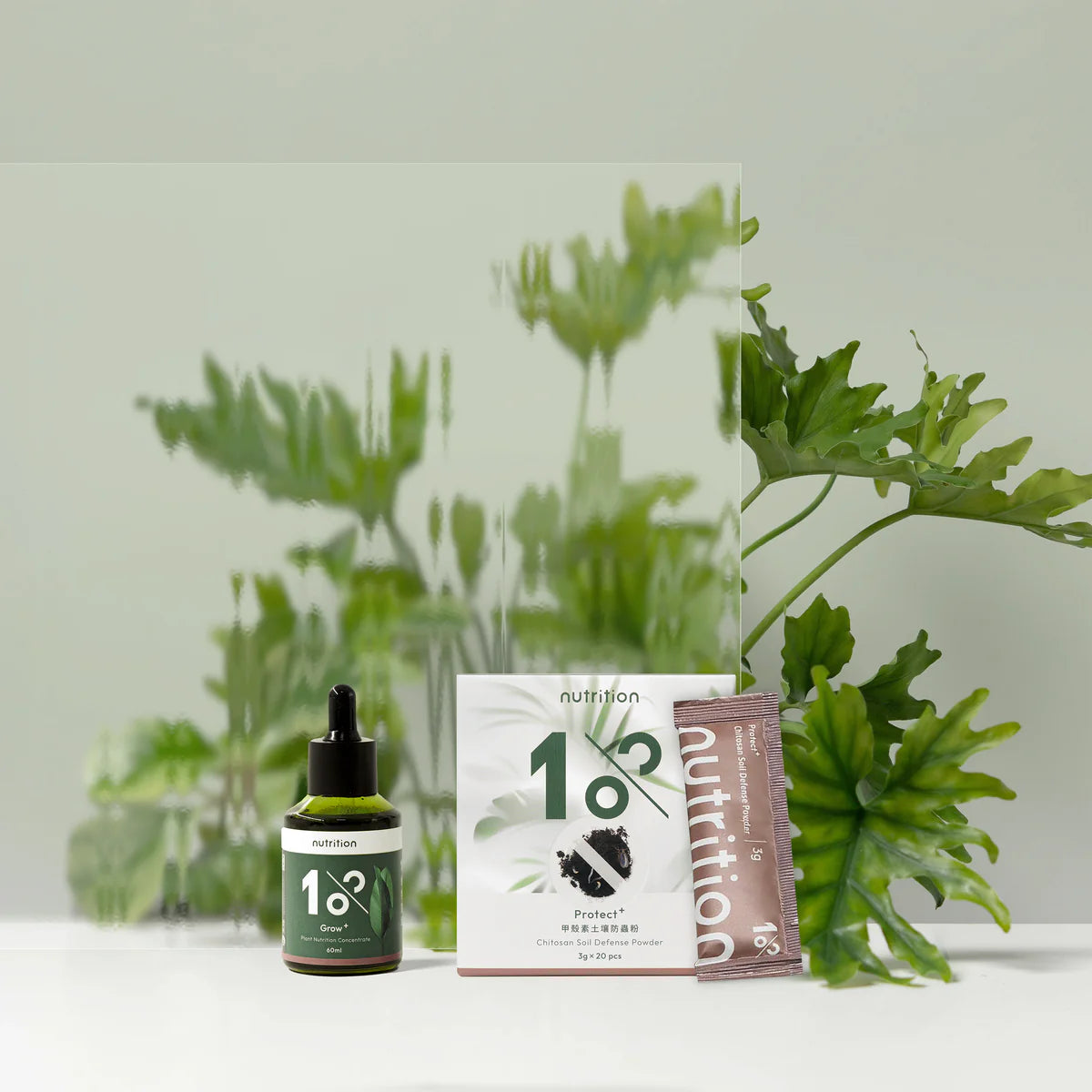 春季換盆必備組(植物營養液+土壤防蟲粉+專用土)
