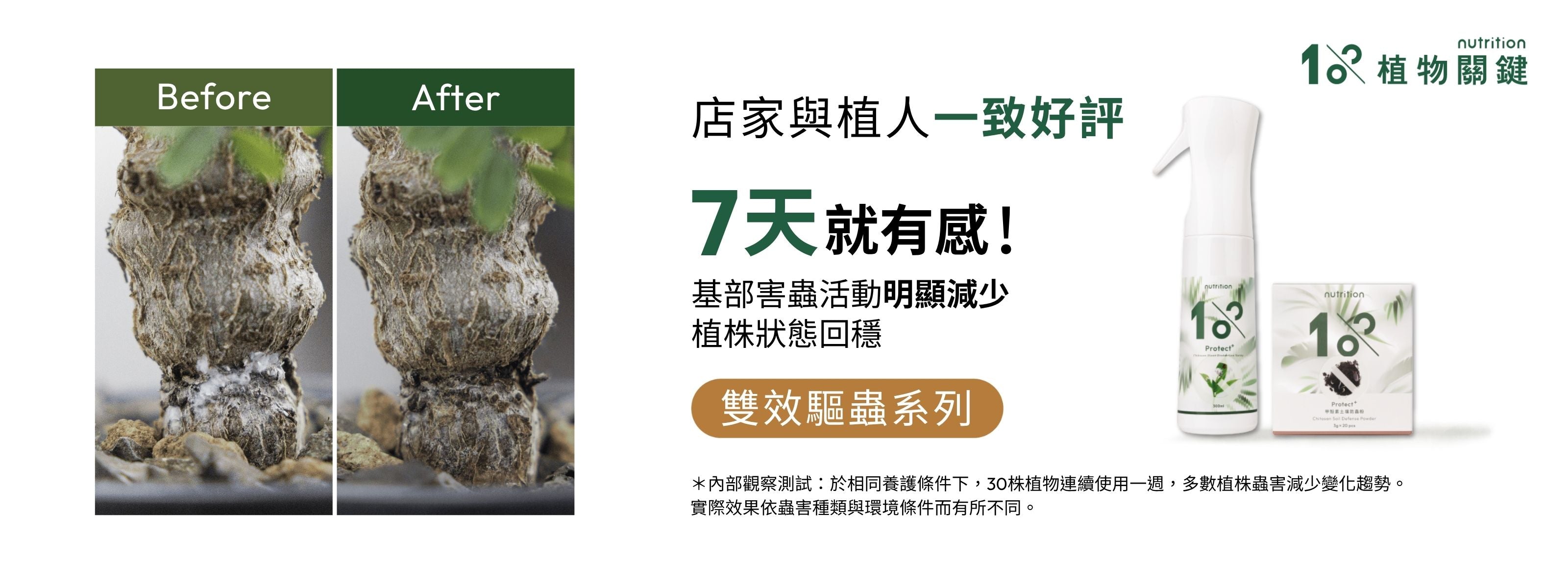 1%植物關鍵 Protect+甲殼素防護組使用前後對比,有效改善驅蟲問題,植物恢復健康生長環境