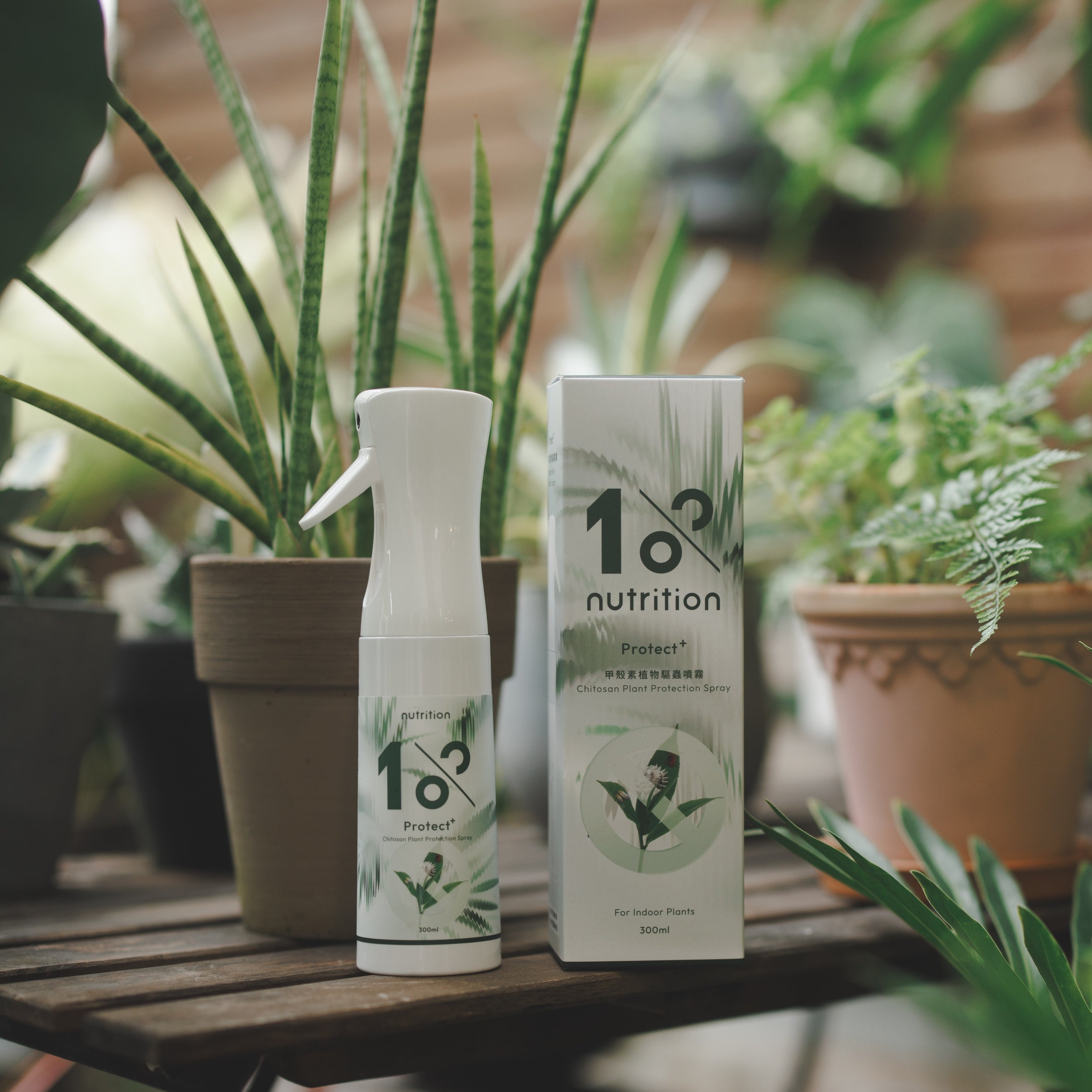 雙11 快速有感|驅蟲噴霧買3送1 限量組