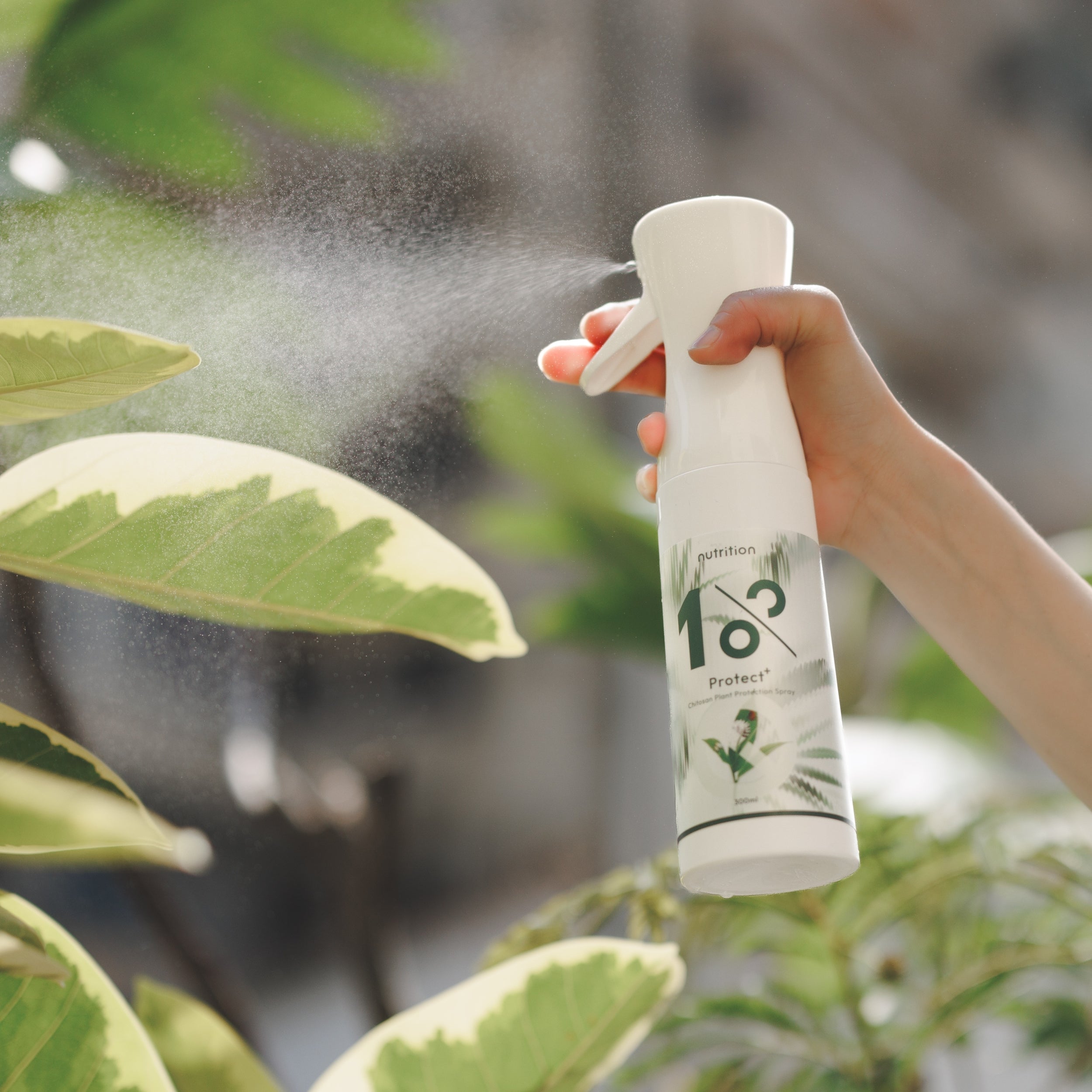 雙11 激省大份量|全年守護囤貨組