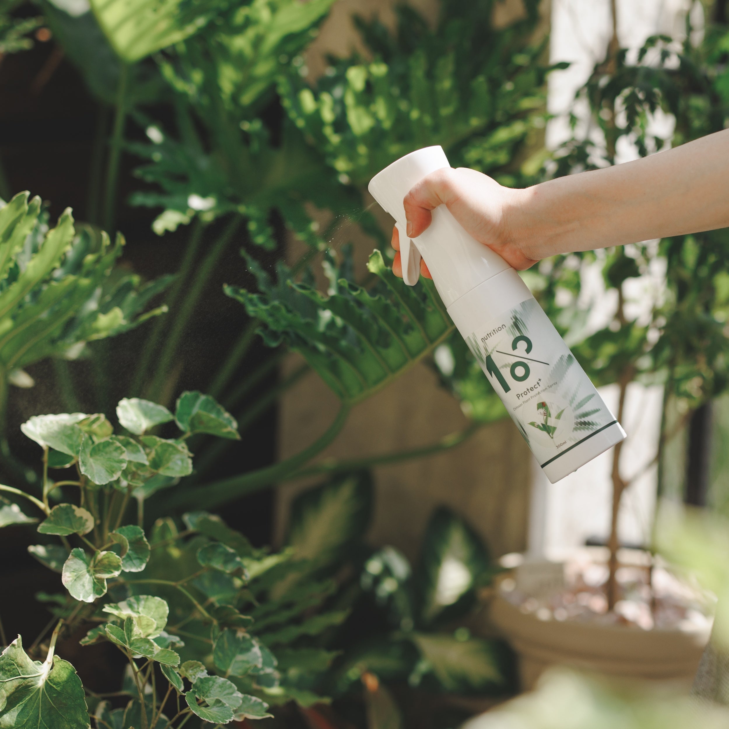 雙11 快速有感|驅蟲噴霧2+2補貨組