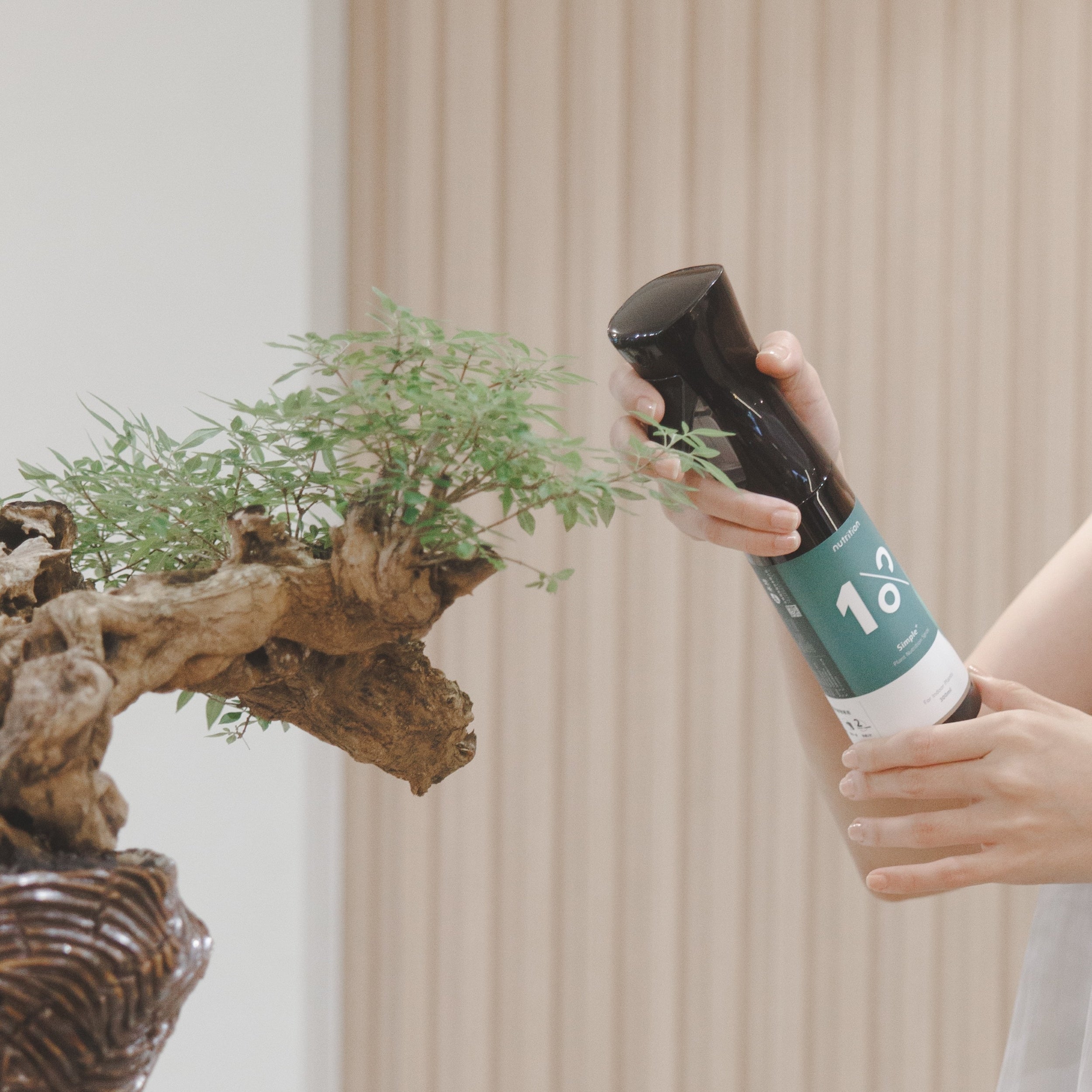 雙11 20盆以內|3坪養護專家組