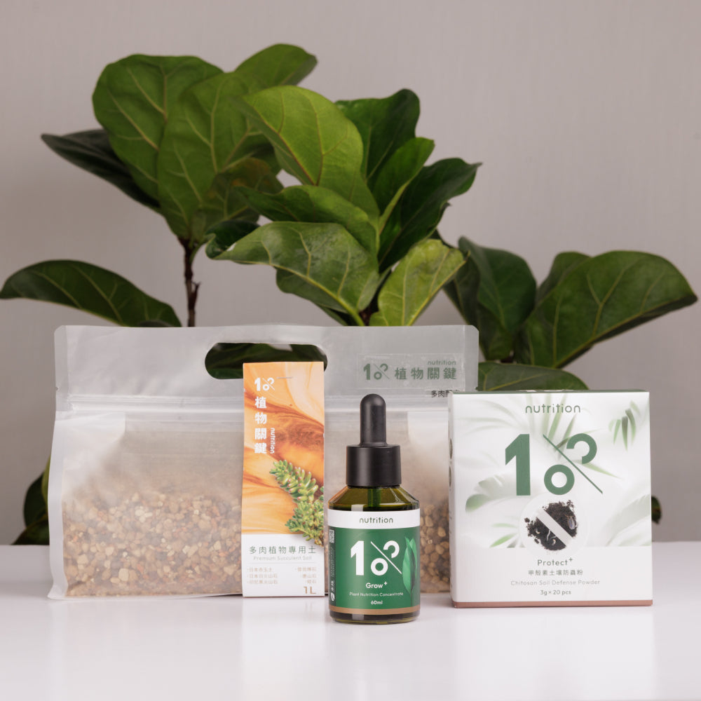 春季換盆必備組(植物營養液+土壤防蟲粉+專用土)