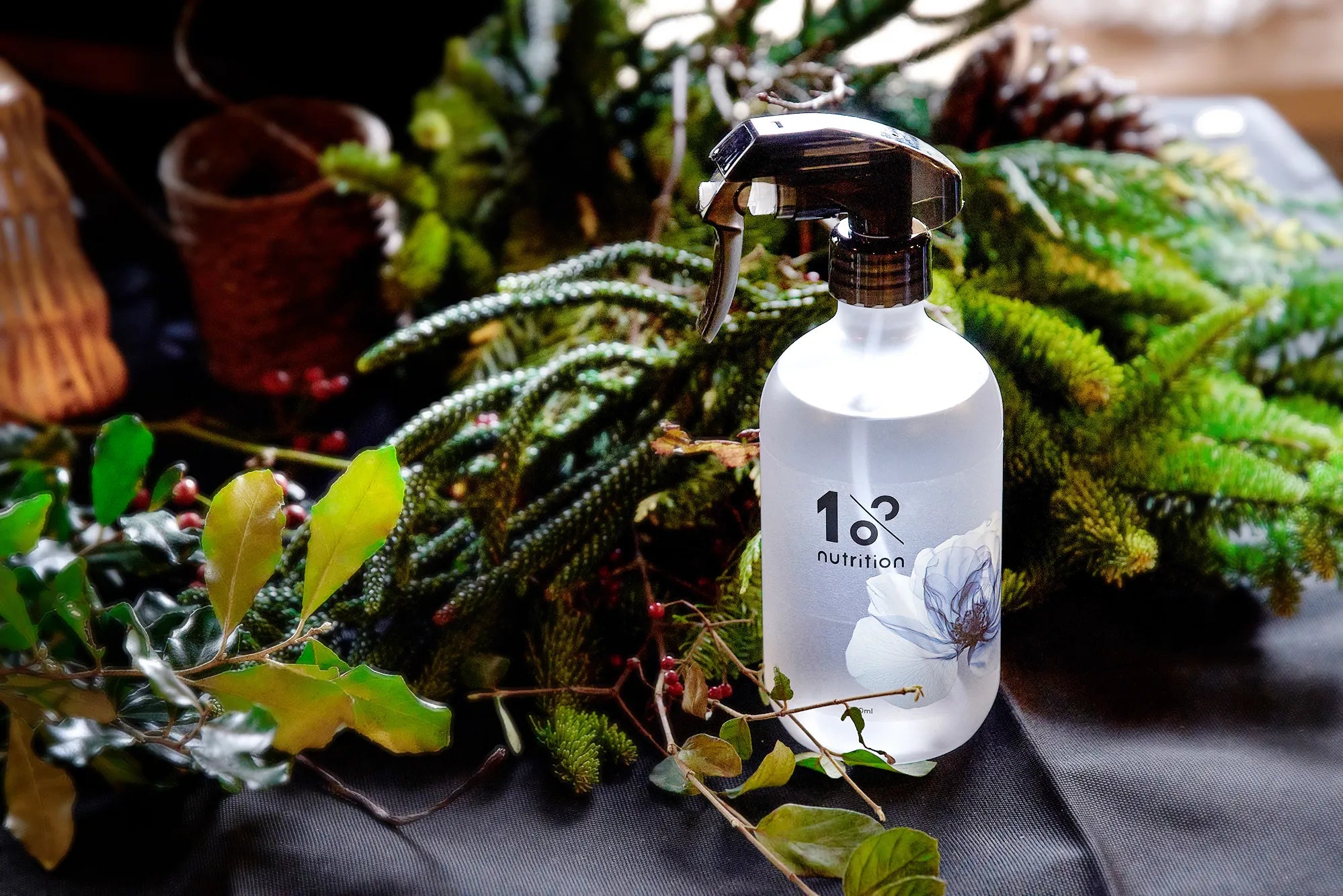 Vogue x 1%植物關鍵：當植物養護，成為生活美學新趨勢