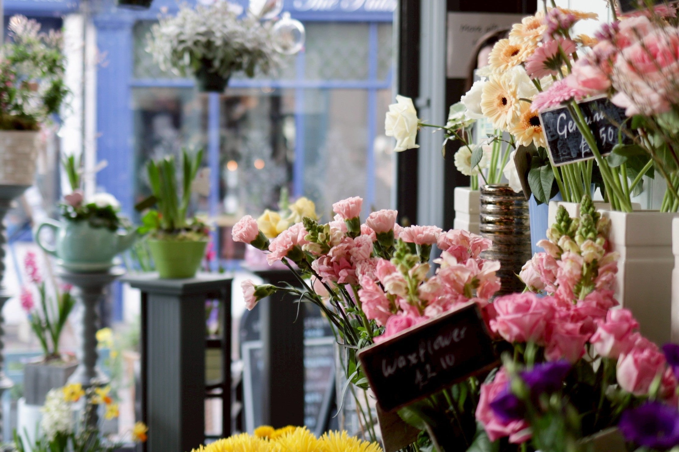 懶人切花保鮮術｜玫瑰／百合／洋桔梗這樣養開更久！