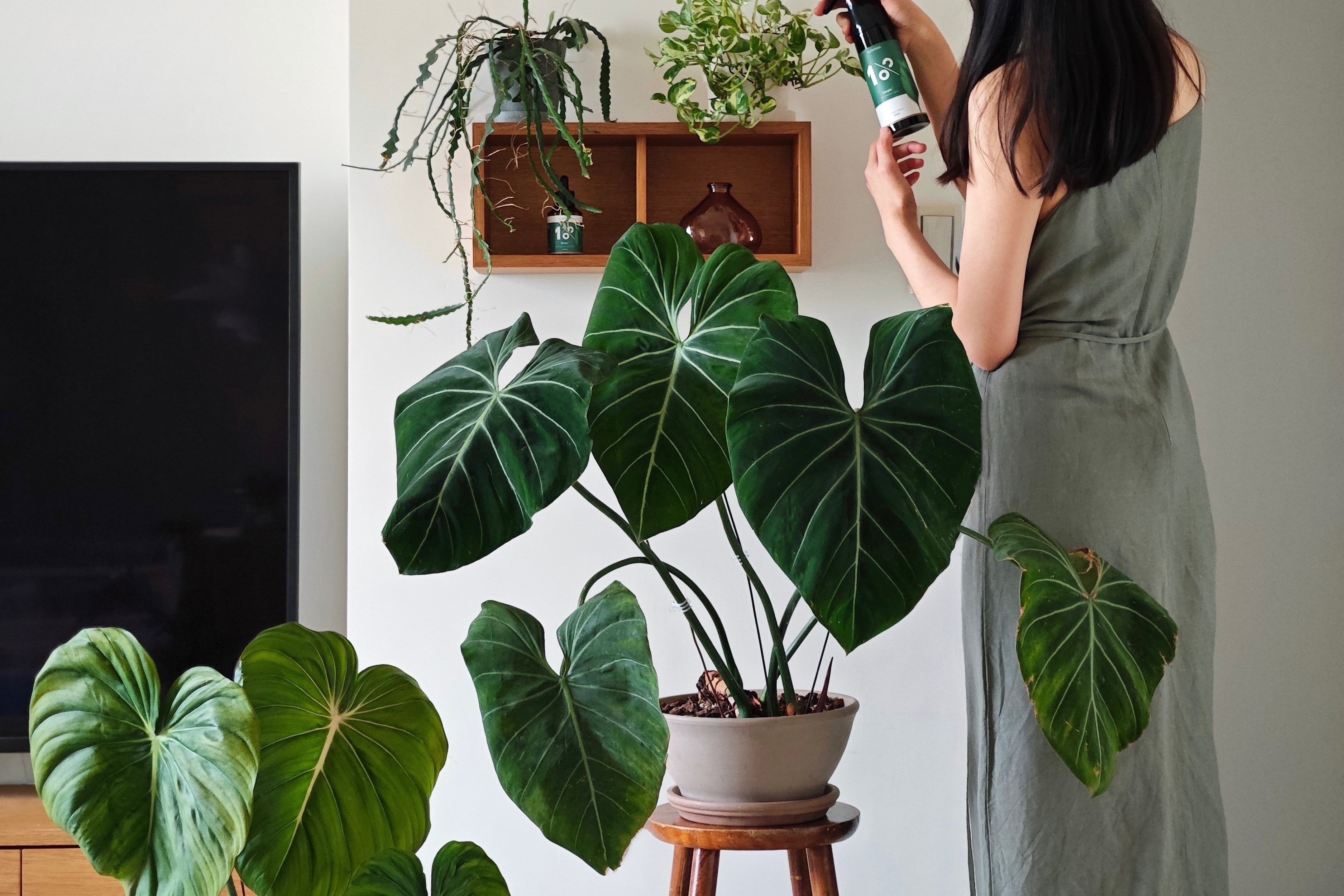 快速補養｜植物保養噴霧