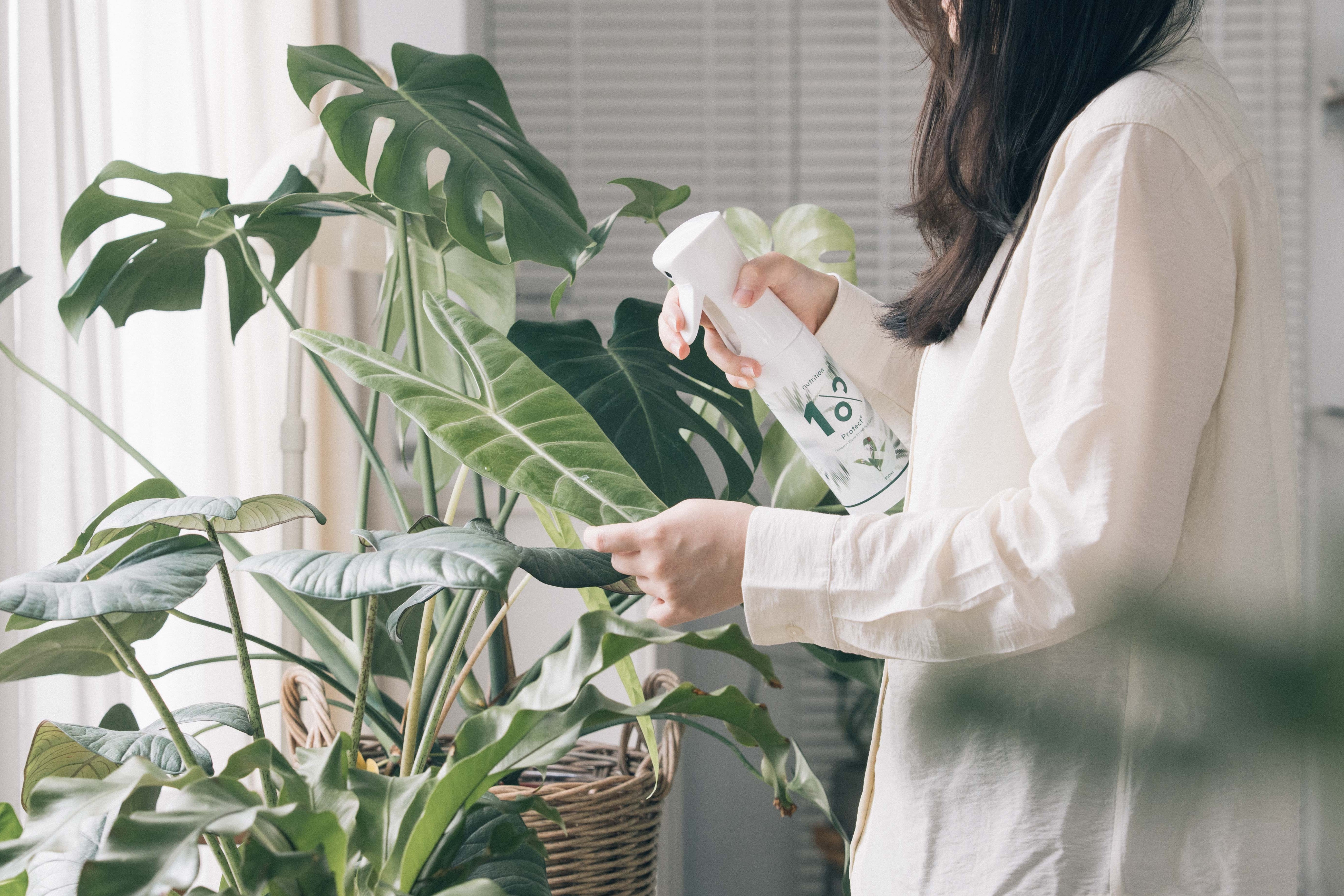 五星好評｜熱銷商品