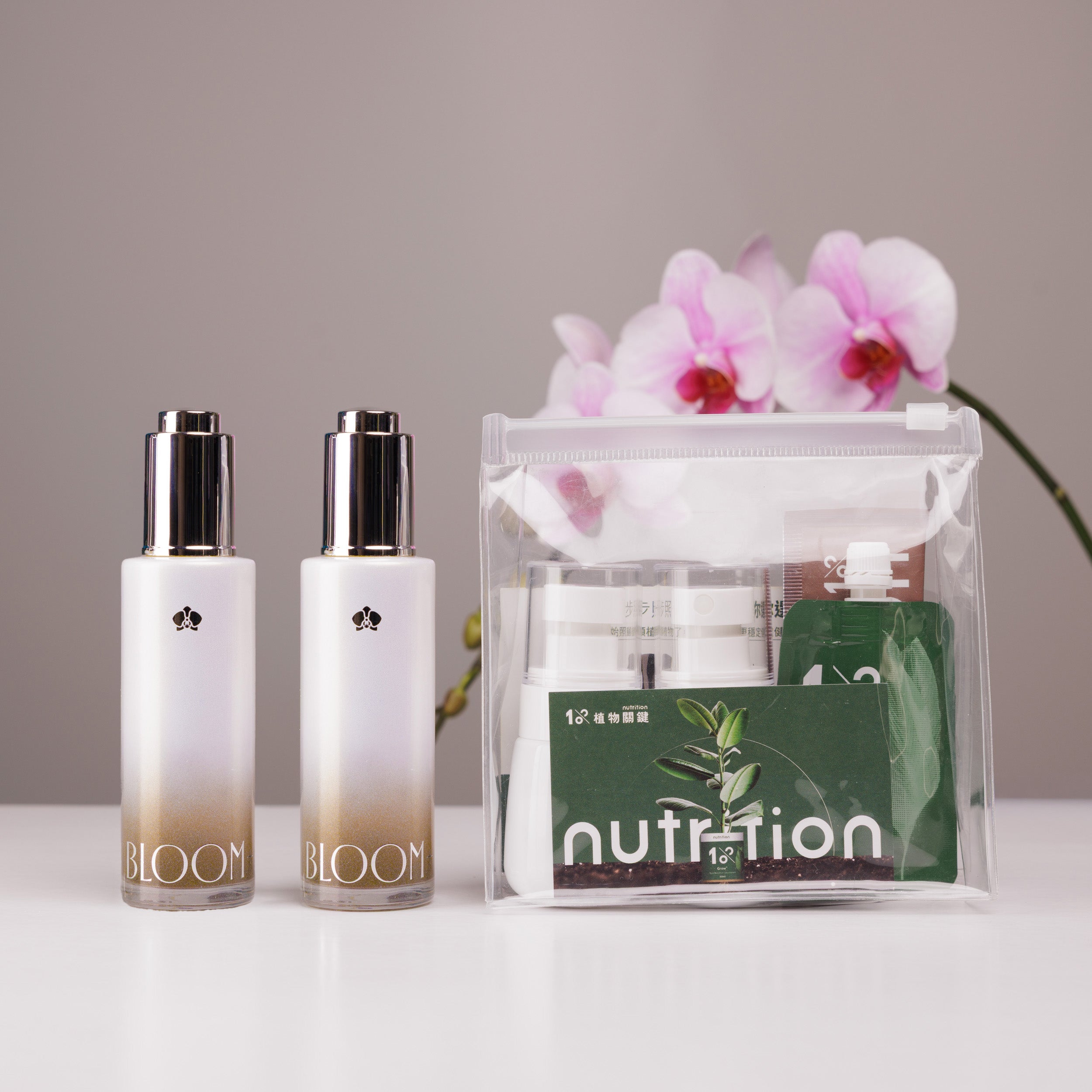 『新春限定』盆花日常體驗組