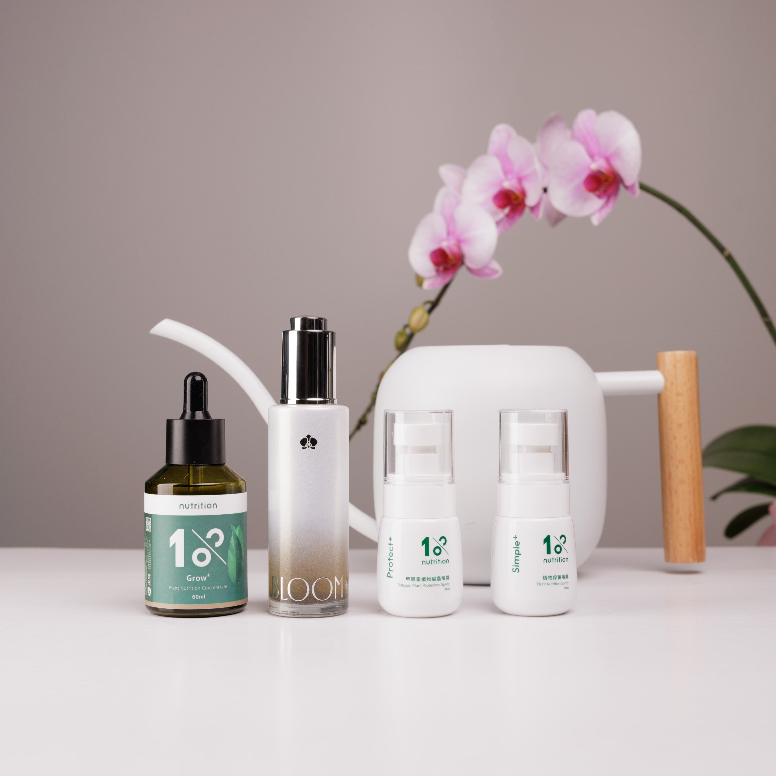 『新春限定』盆花營養綻放組