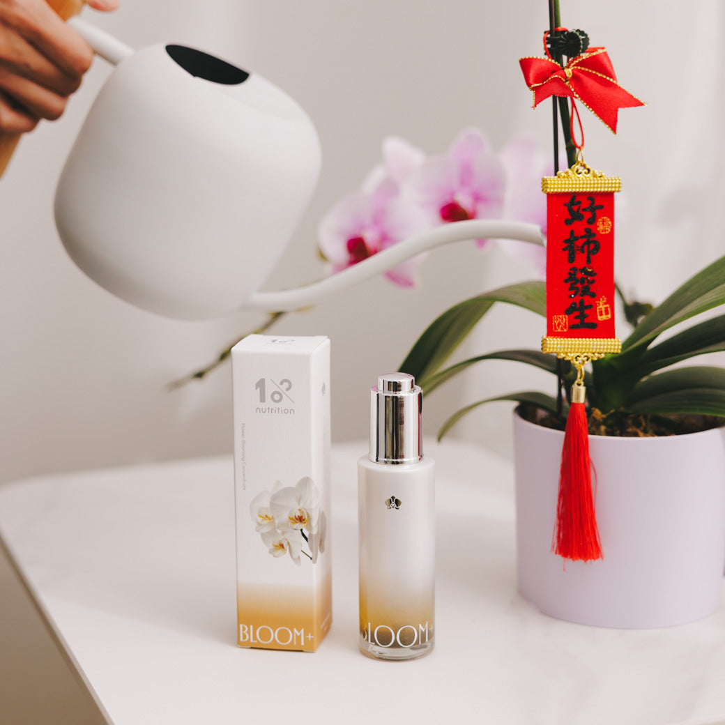 『新春限定』盆花營養綻放組