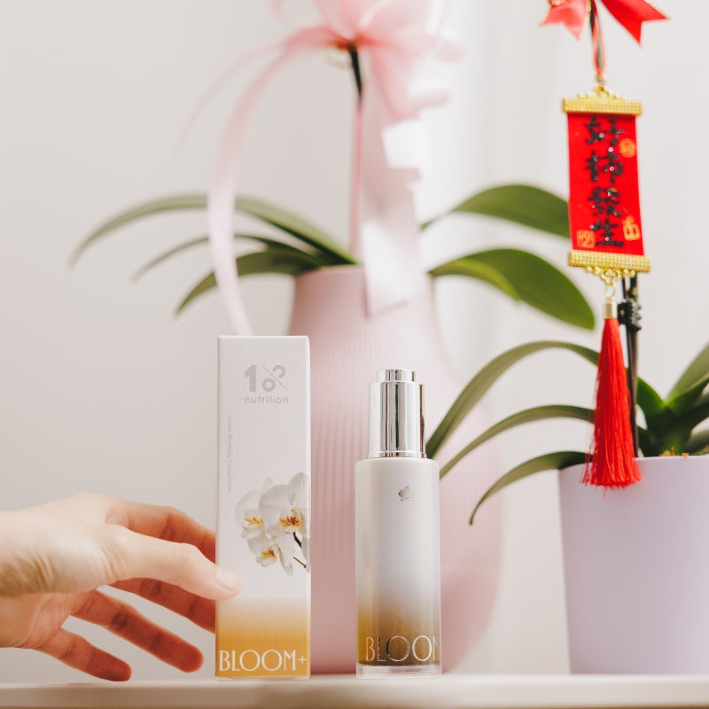 『新春限定』盆花日常體驗組