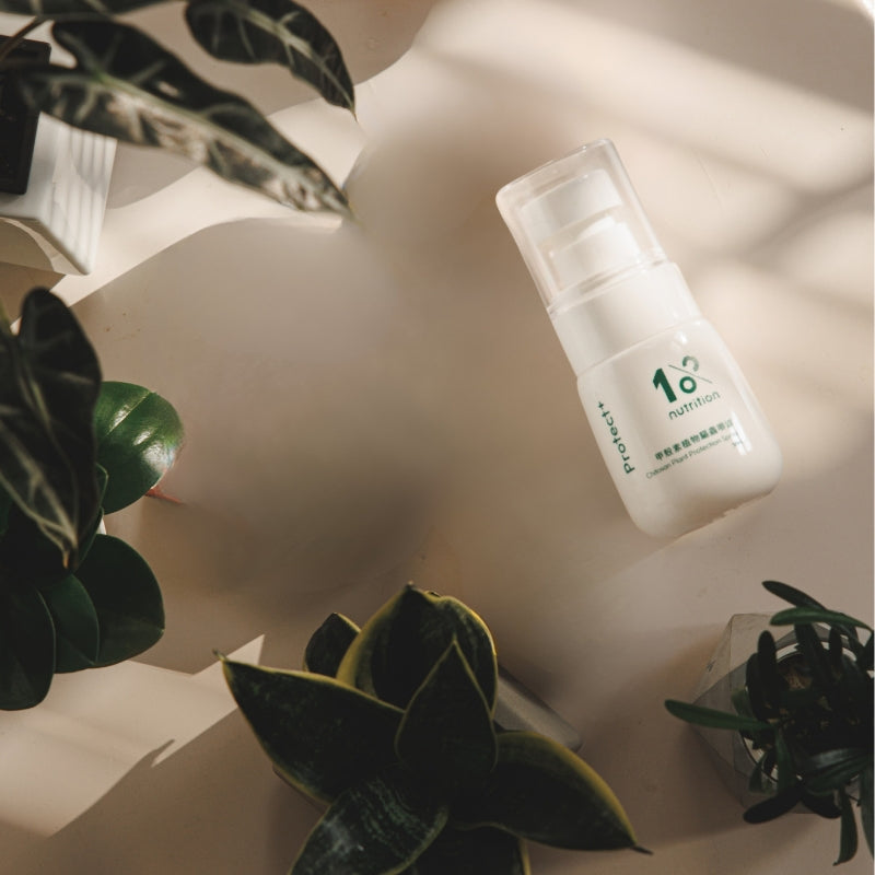 『新春限定』盆花日常體驗組