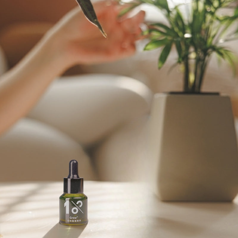 『新春限定』綻放澆水體驗組