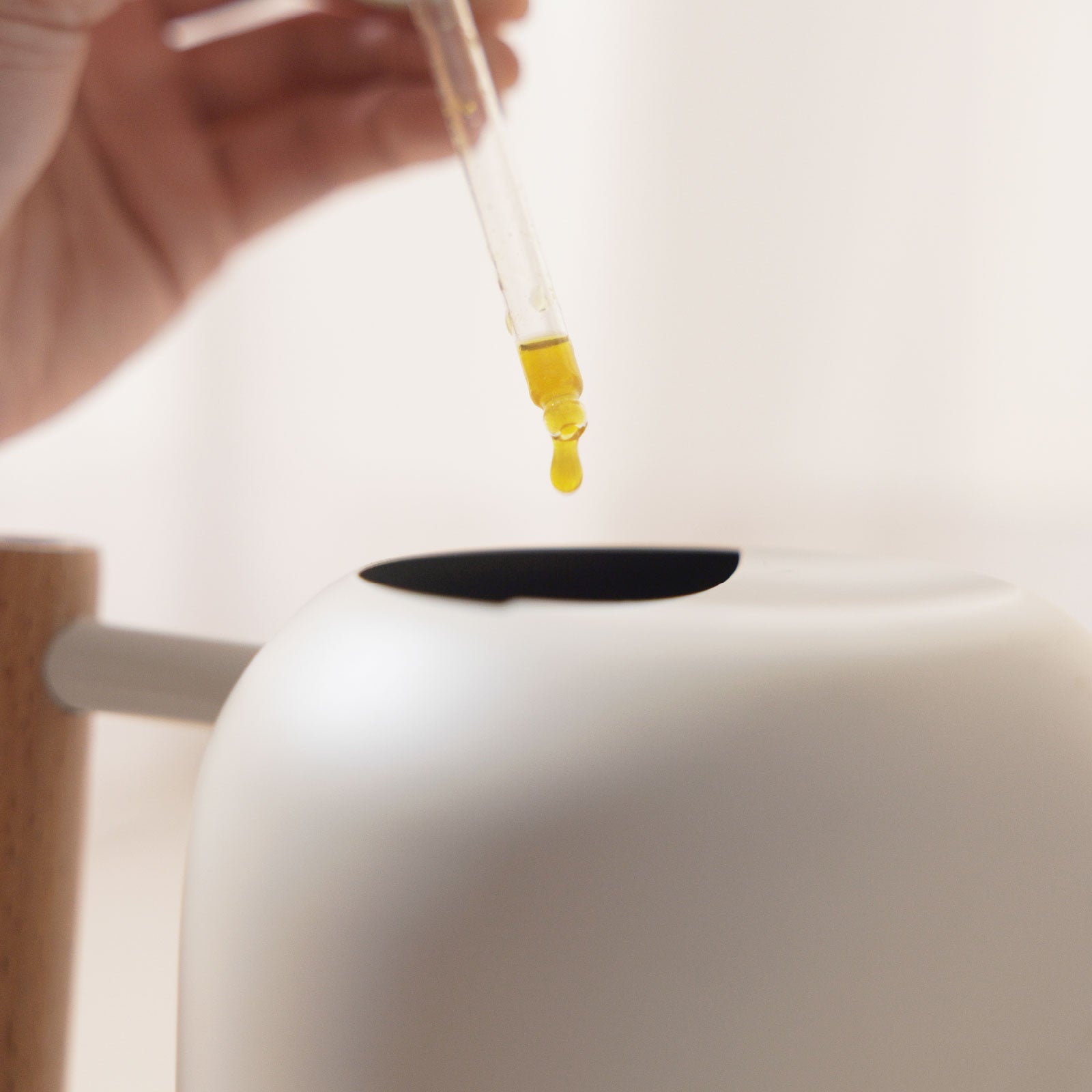 『新春限定』盆花日常照護組