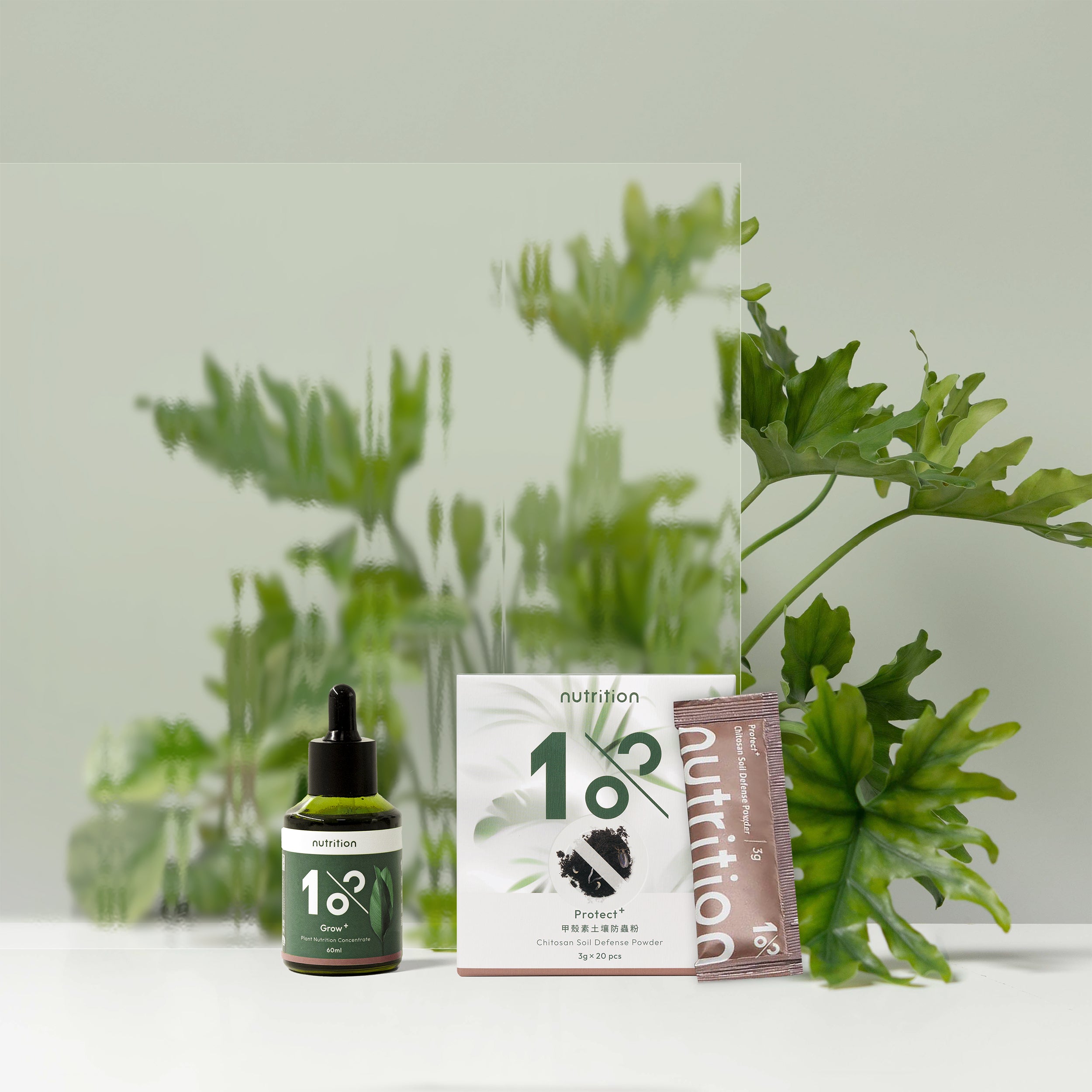 1% 營養防蟲專業養護組