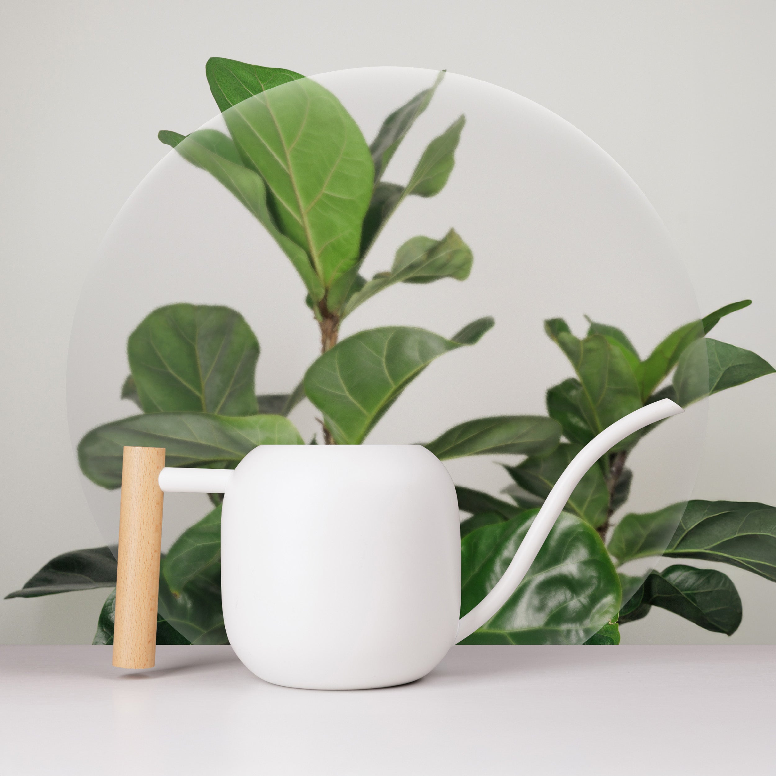 1% nutrition植物關鍵｜1%植感澆水壺1200 ml