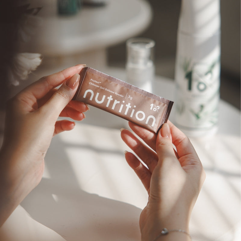 『新春限定』盆花日常體驗組