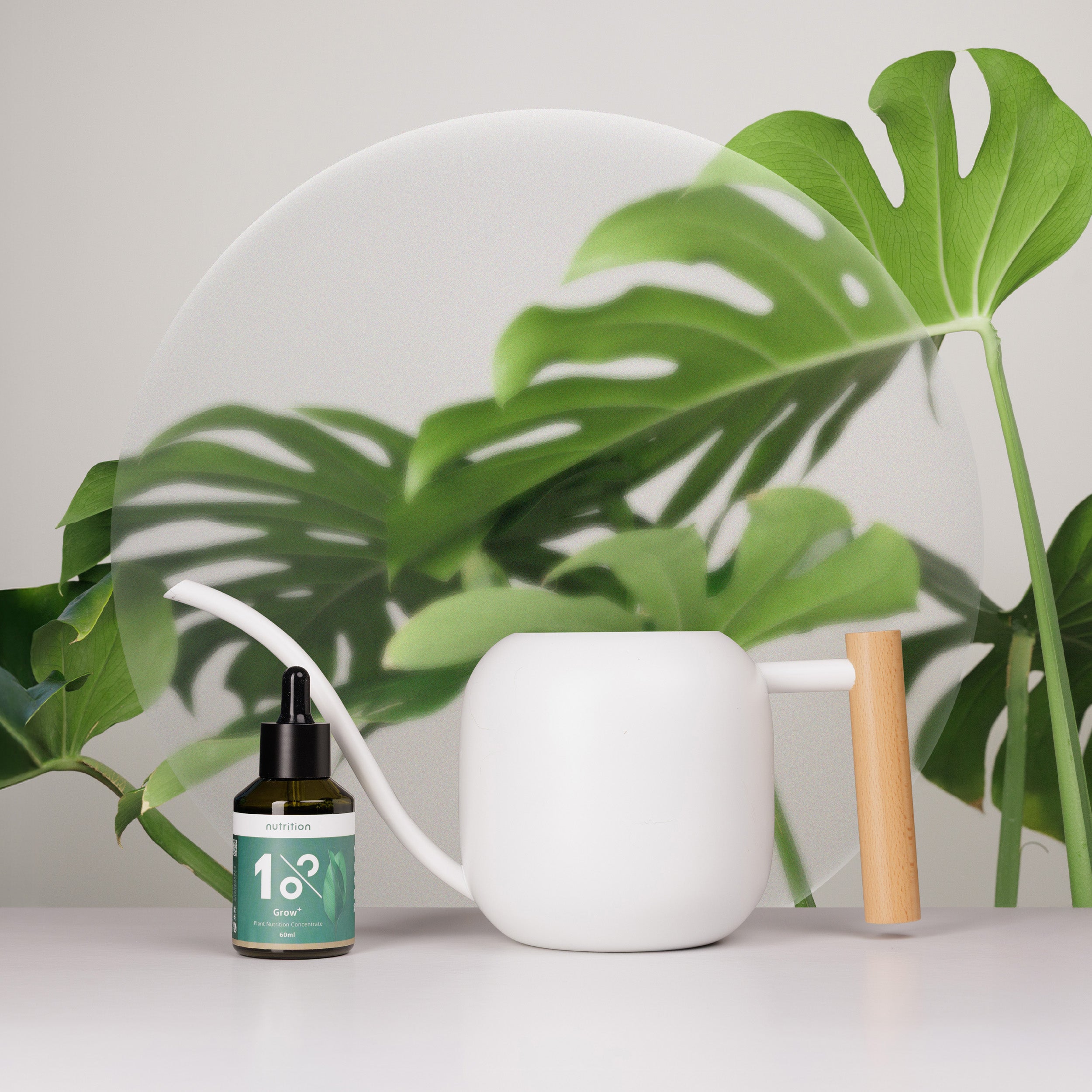1%植物營養精華&澆水壺