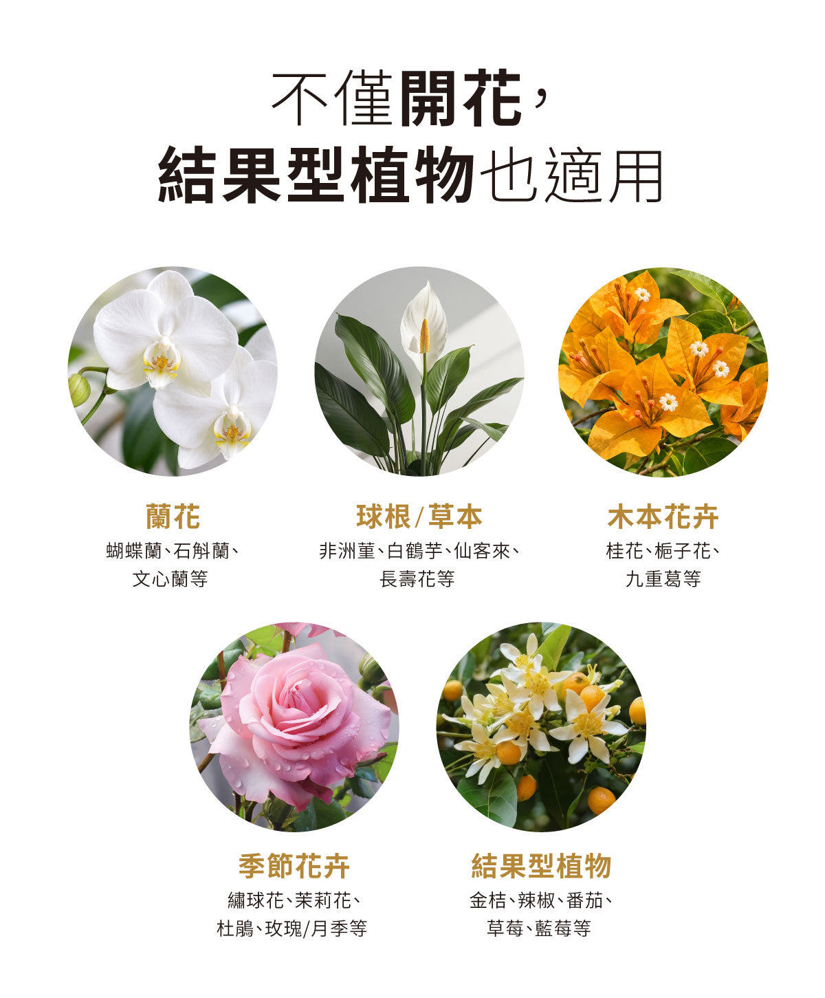 開花精華適用植物種類，包括蘭花、玫瑰、茉莉與結果型植物