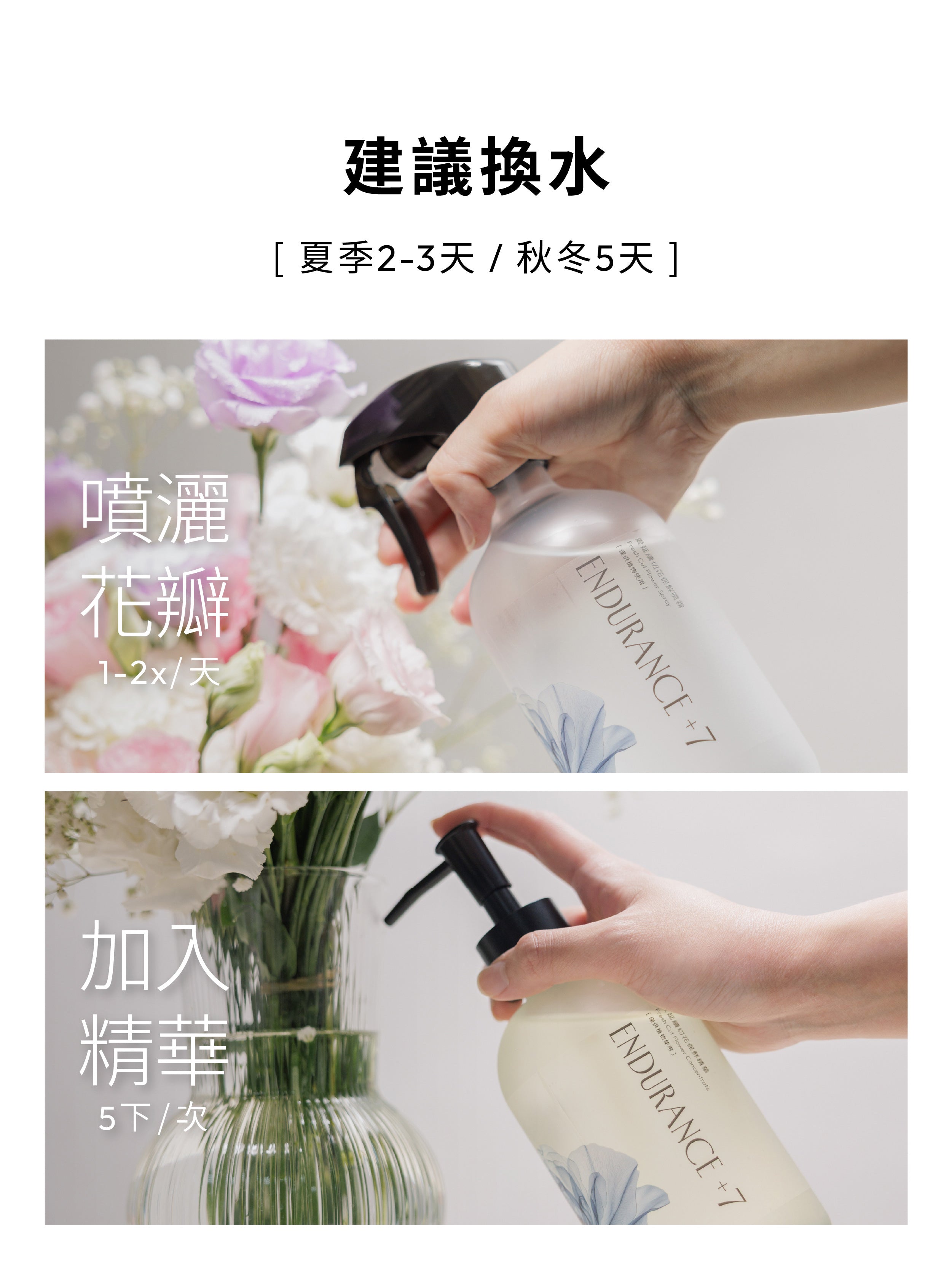 1%植物關鍵 Endurance+7 鮮花保鮮大組合使用方式，每日噴灑花瓣1–2次，換水時在花瓶水中加入5下保鮮精華，雙效養護延長花期