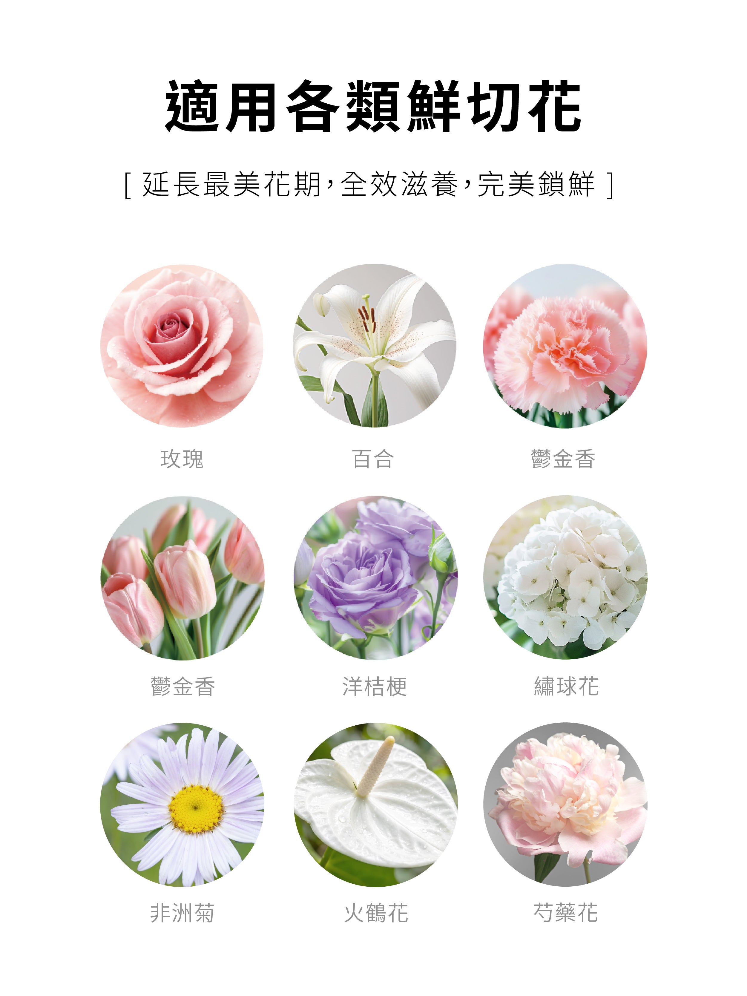 1%植物關鍵 Endurance+7 鮮花保鮮系列產品適用玫瑰、百合、康乃馨、鬱金香、洋桔梗、繡球花等各類鮮切花，幫助鎖鮮並延長花期