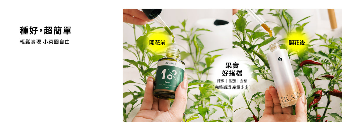 1%植物關鍵 Grow+與Bloom果實植物營養組，適合辣椒、番茄與金桔開花前後分階段使用，提供居家小菜園完整營養照護