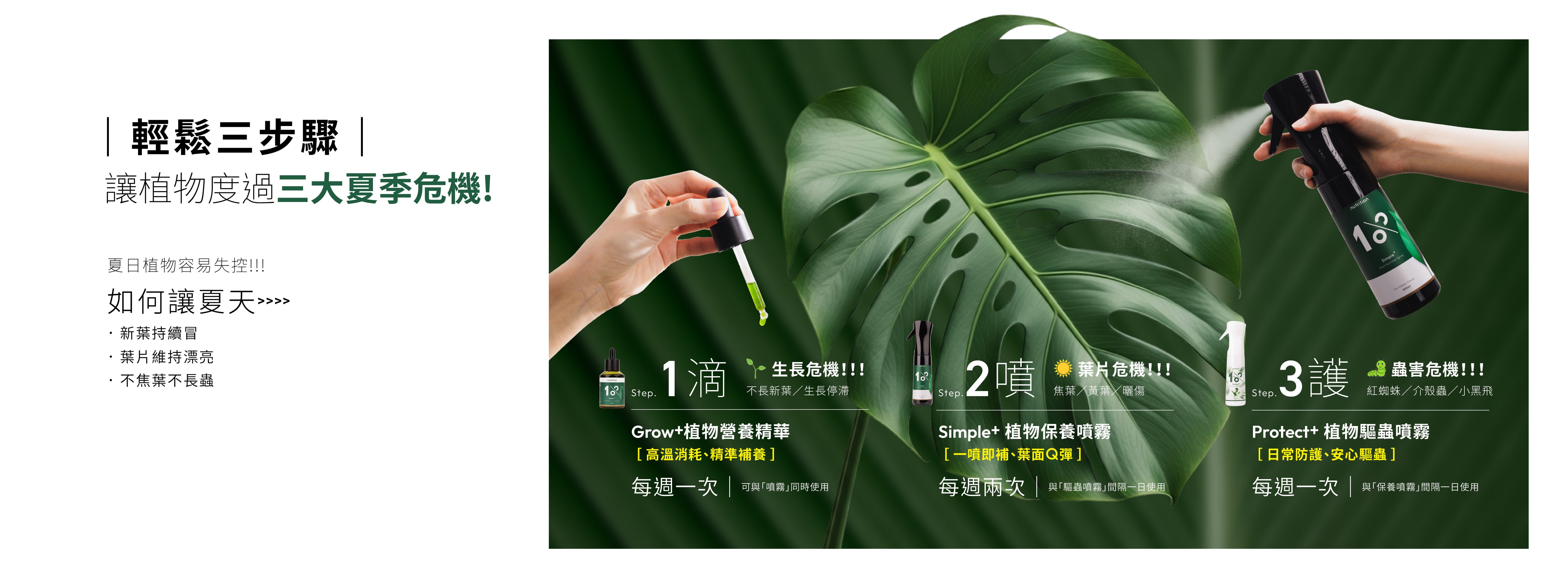 1%植物關鍵 Grow+植物營養液、Simple+植物保養噴霧與 Protect+植物驅蟲噴霧三步驟養護，幫助植物補充營養、美葉養成並預防夏季蟲害。