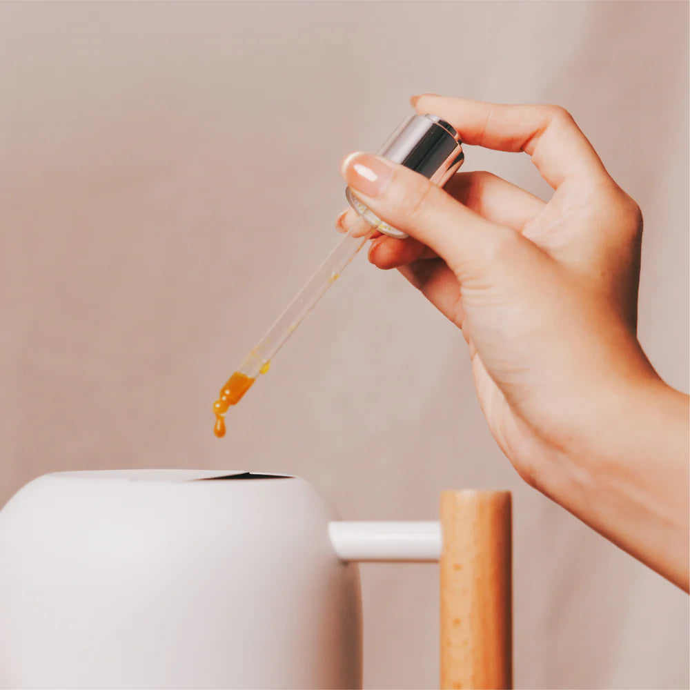 『新春限定』盆花日常體驗組