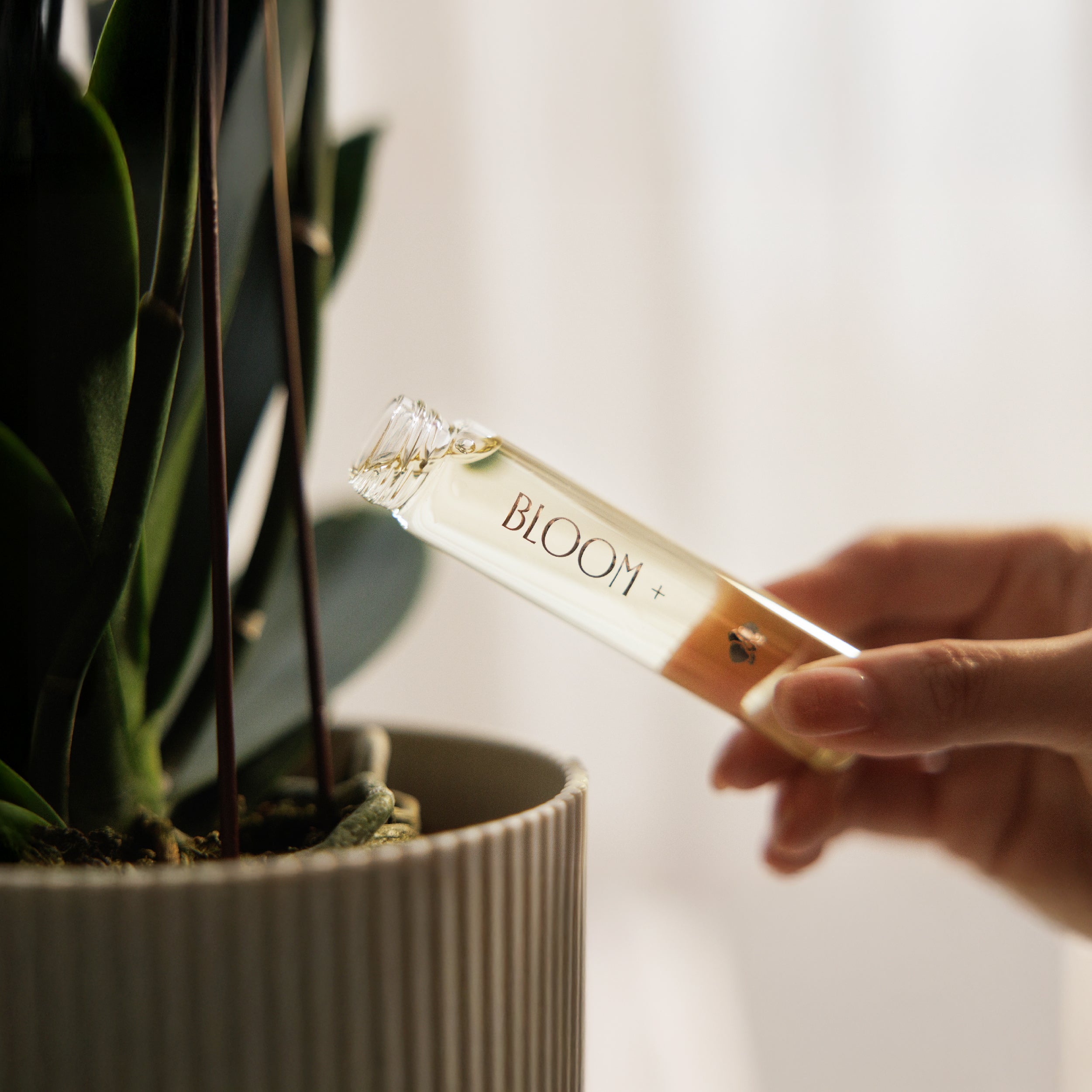 Bloom+ 愛綻放花開營養液組(即用型)－Coming soon