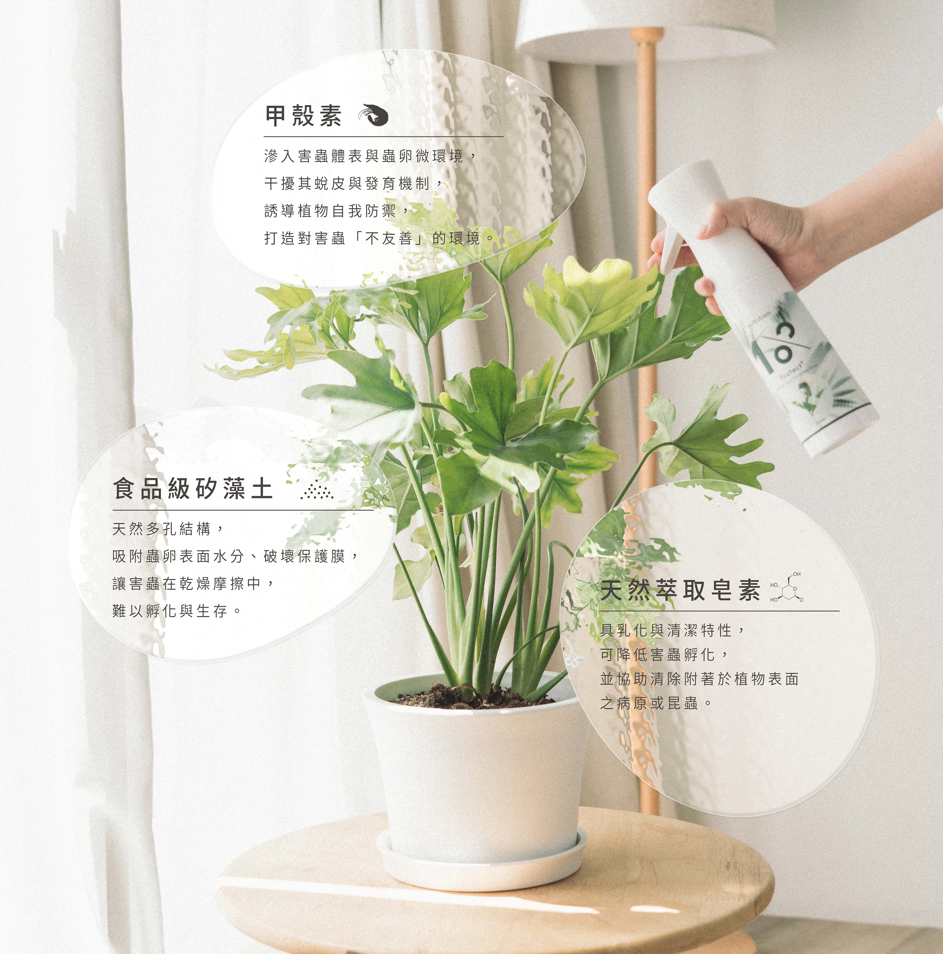 1%植物關鍵 Protect+ 甲殼素植物驅蟲噴霧，含甲殼素、食品級矽藻土與天然萃取皂素，提供室內植物莖葉日常蟲害防護